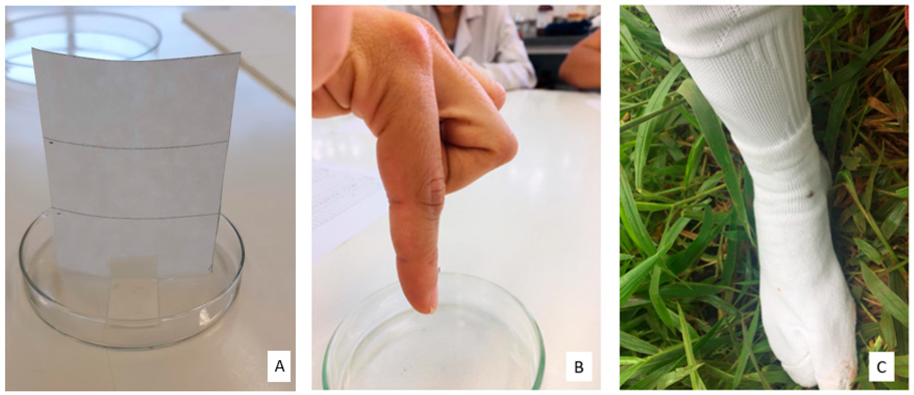 Pathogens 13 00009 g001