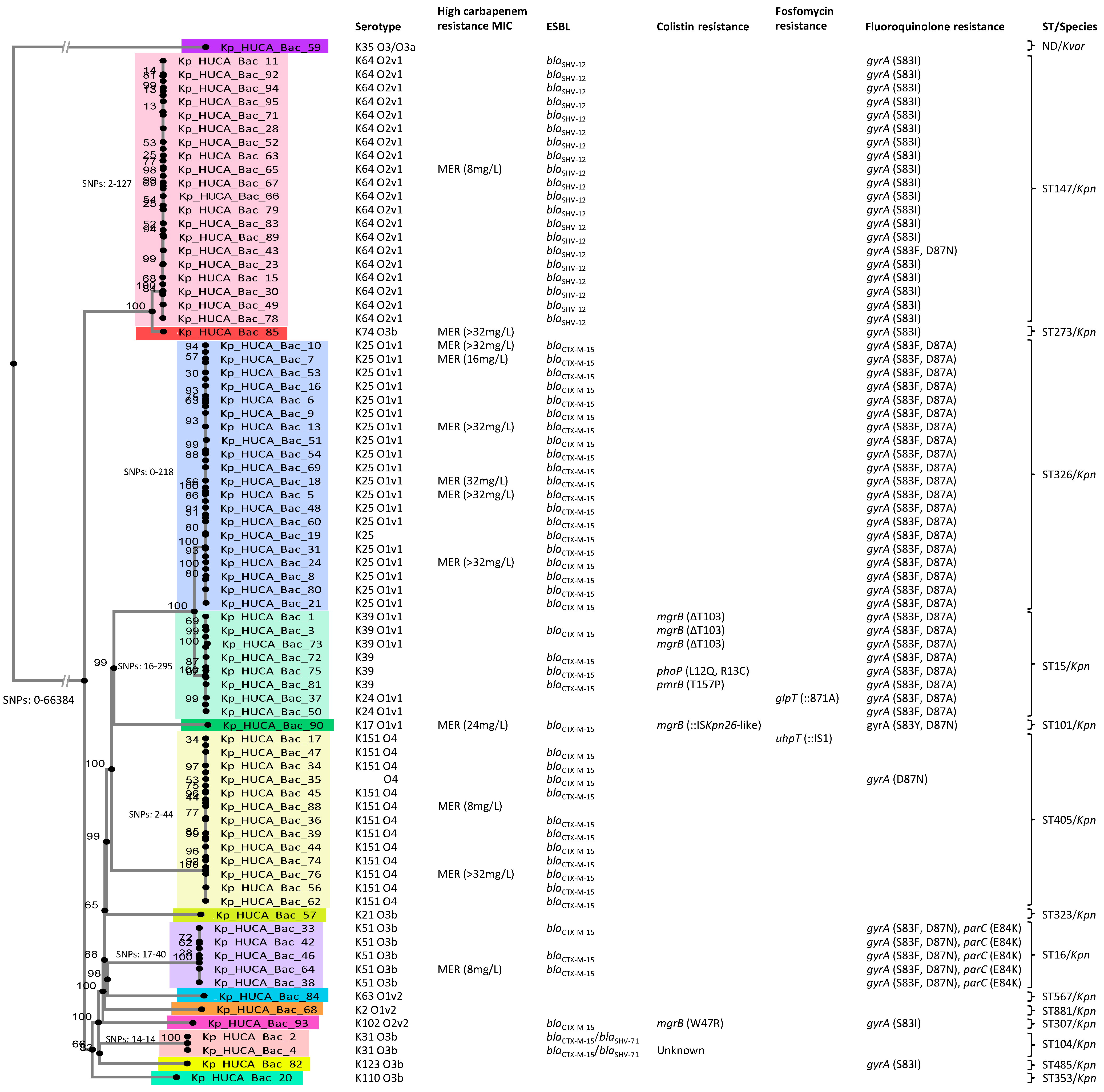 Pathogens 13 00011 g001