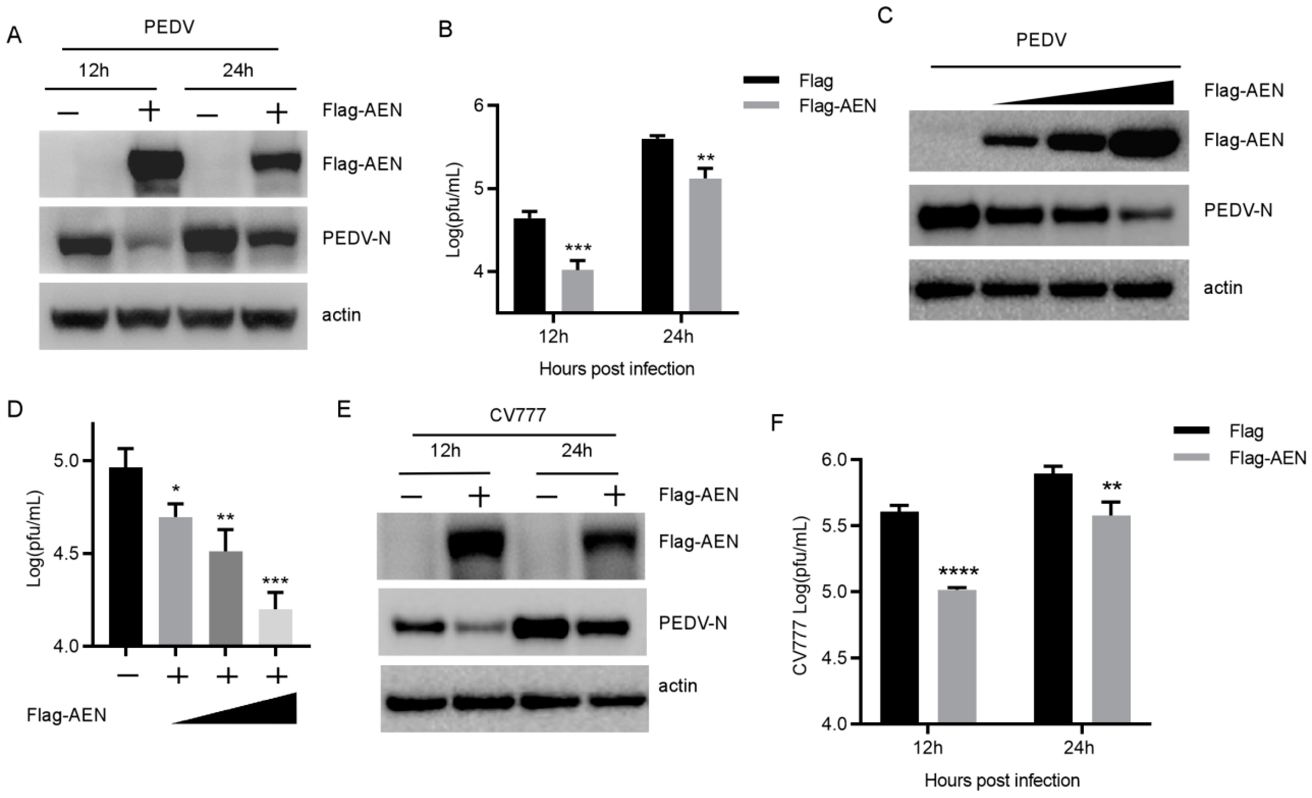 Pathogens 13 00024 g002