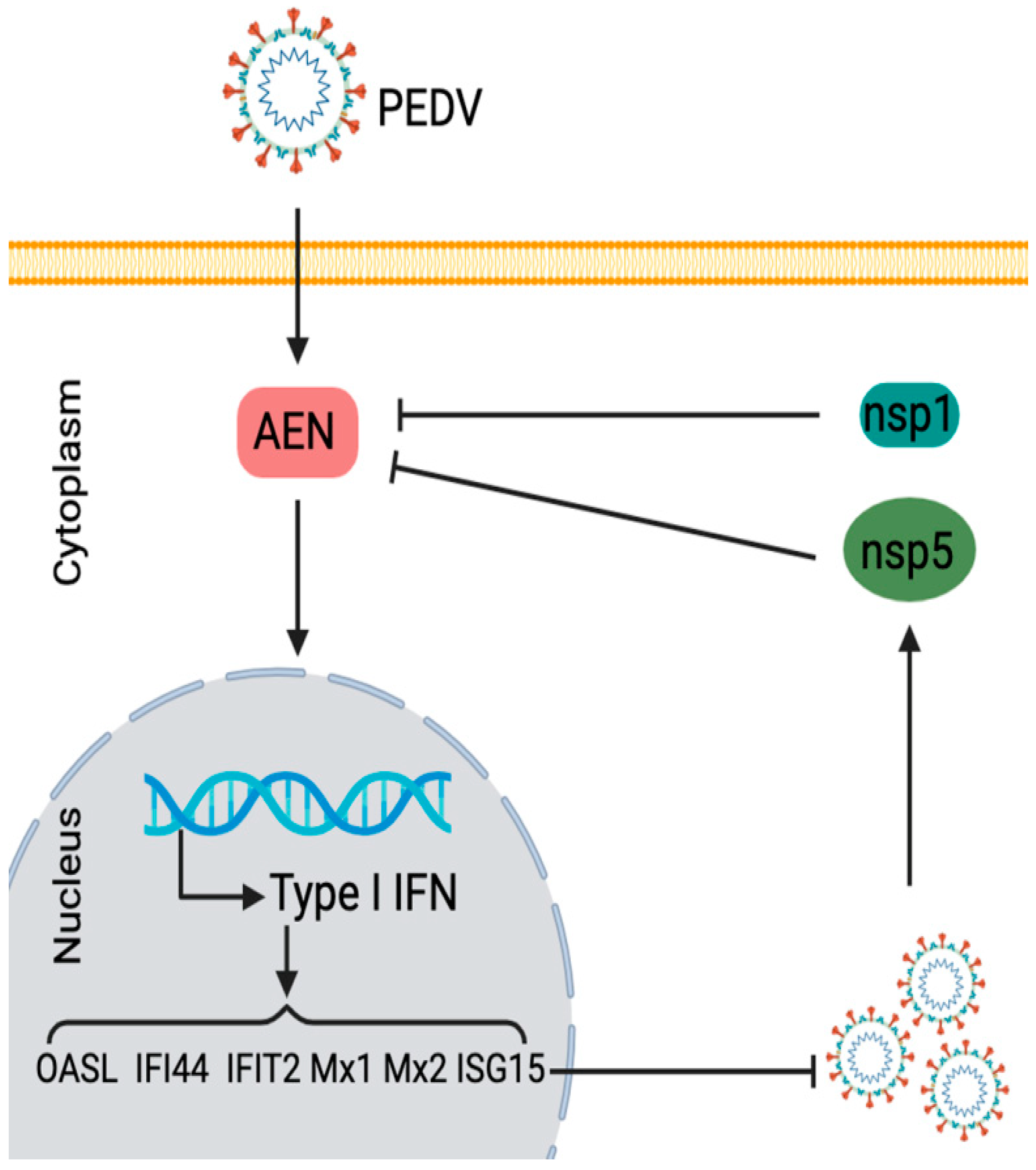 Pathogens 13 00024 g007