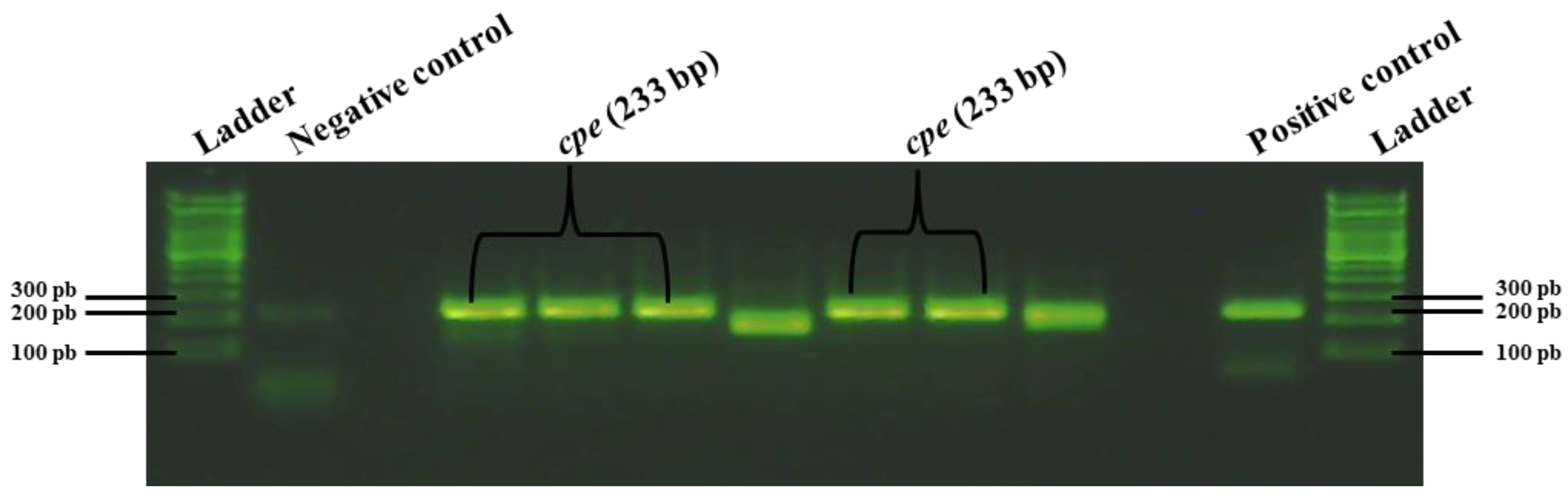 Pathogens 13 00030 g013 Pathogens 13 00030 g013