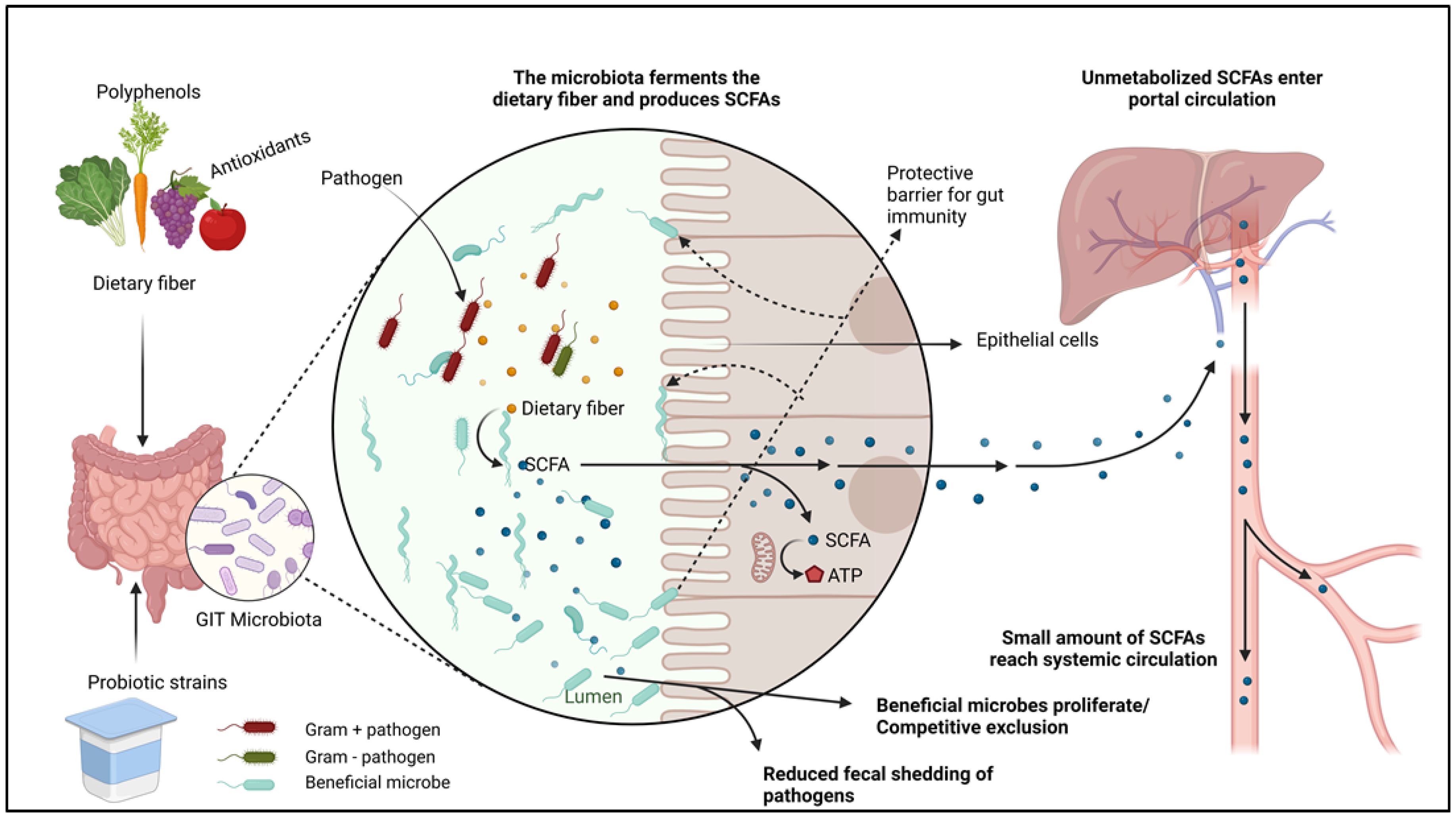 Pathogens 13 00031 g002 Pathogens 13 00031 g002