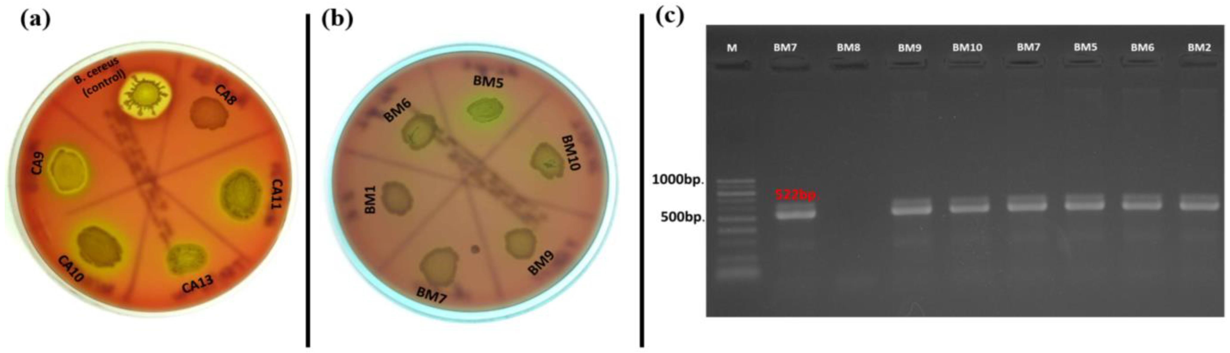 Pathogens 13 00036 g003