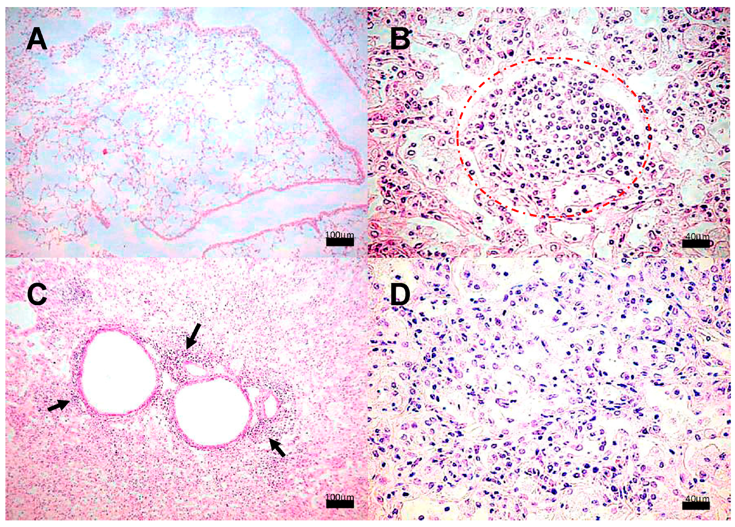 Pathogens 13 00037 g002