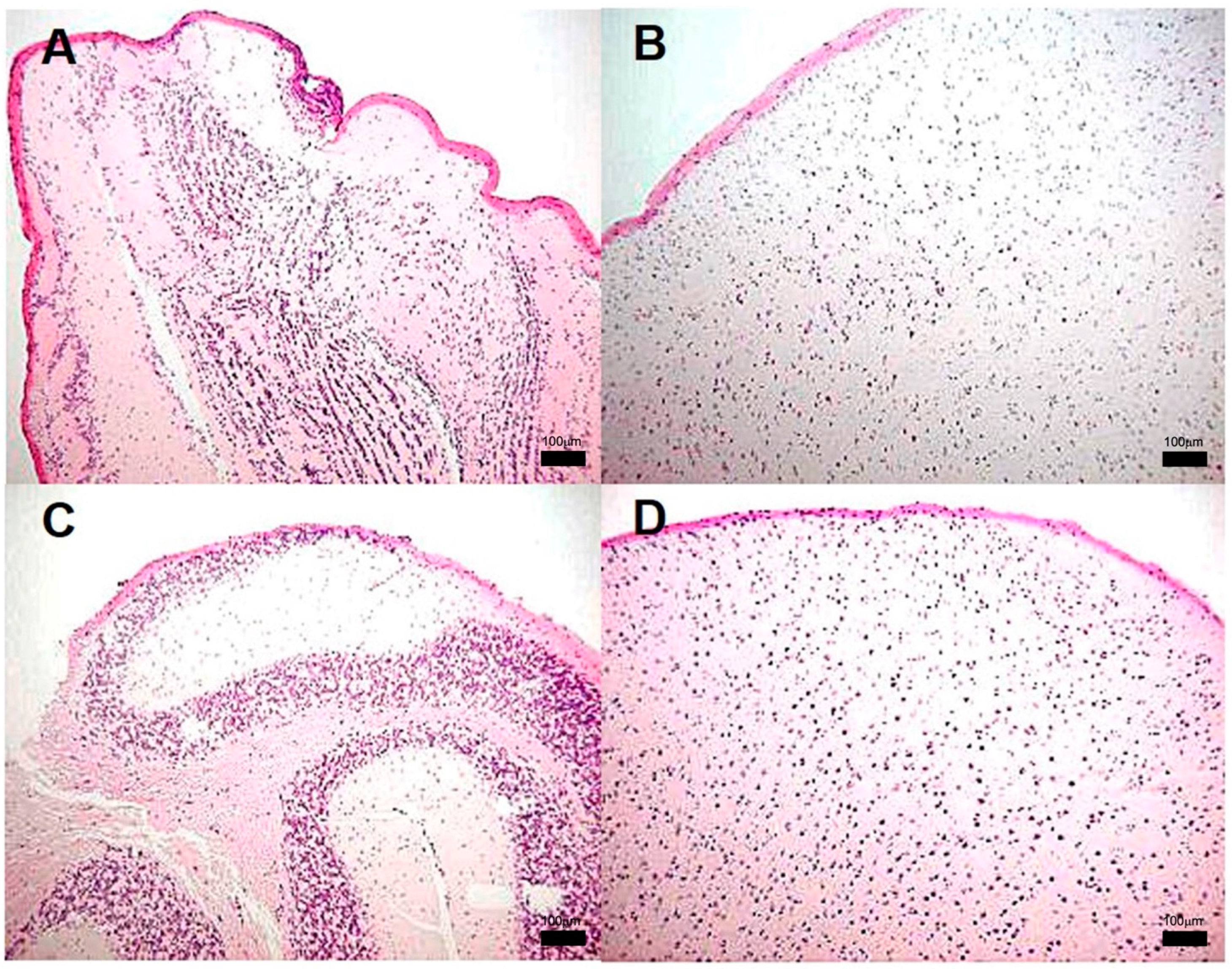 Pathogens 13 00037 g005