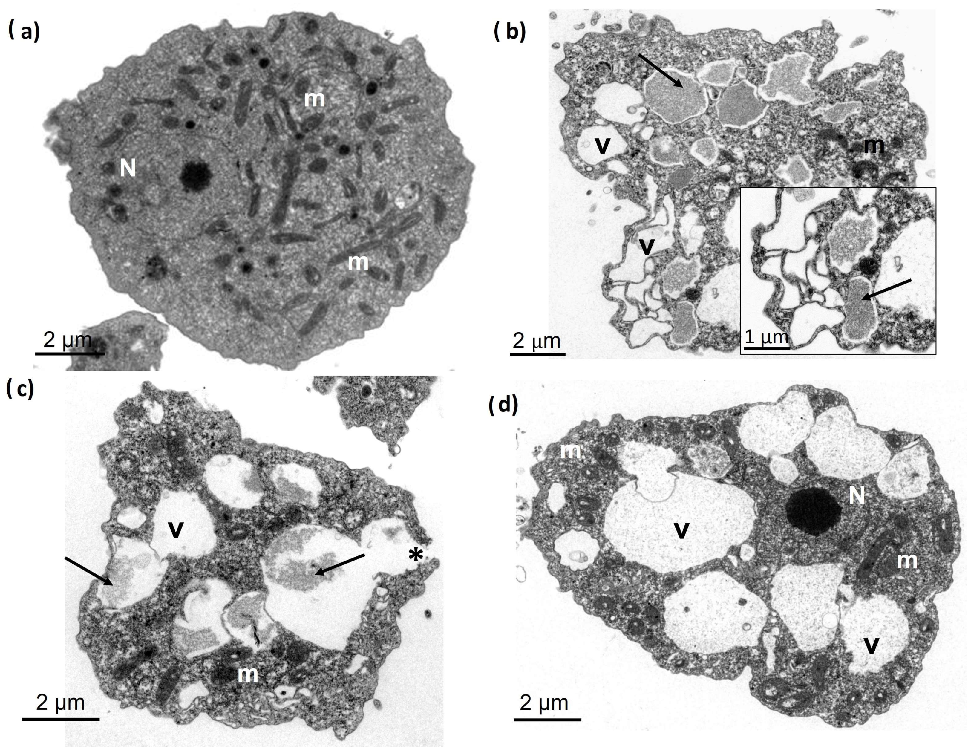 Pathogens 13 00044 g002