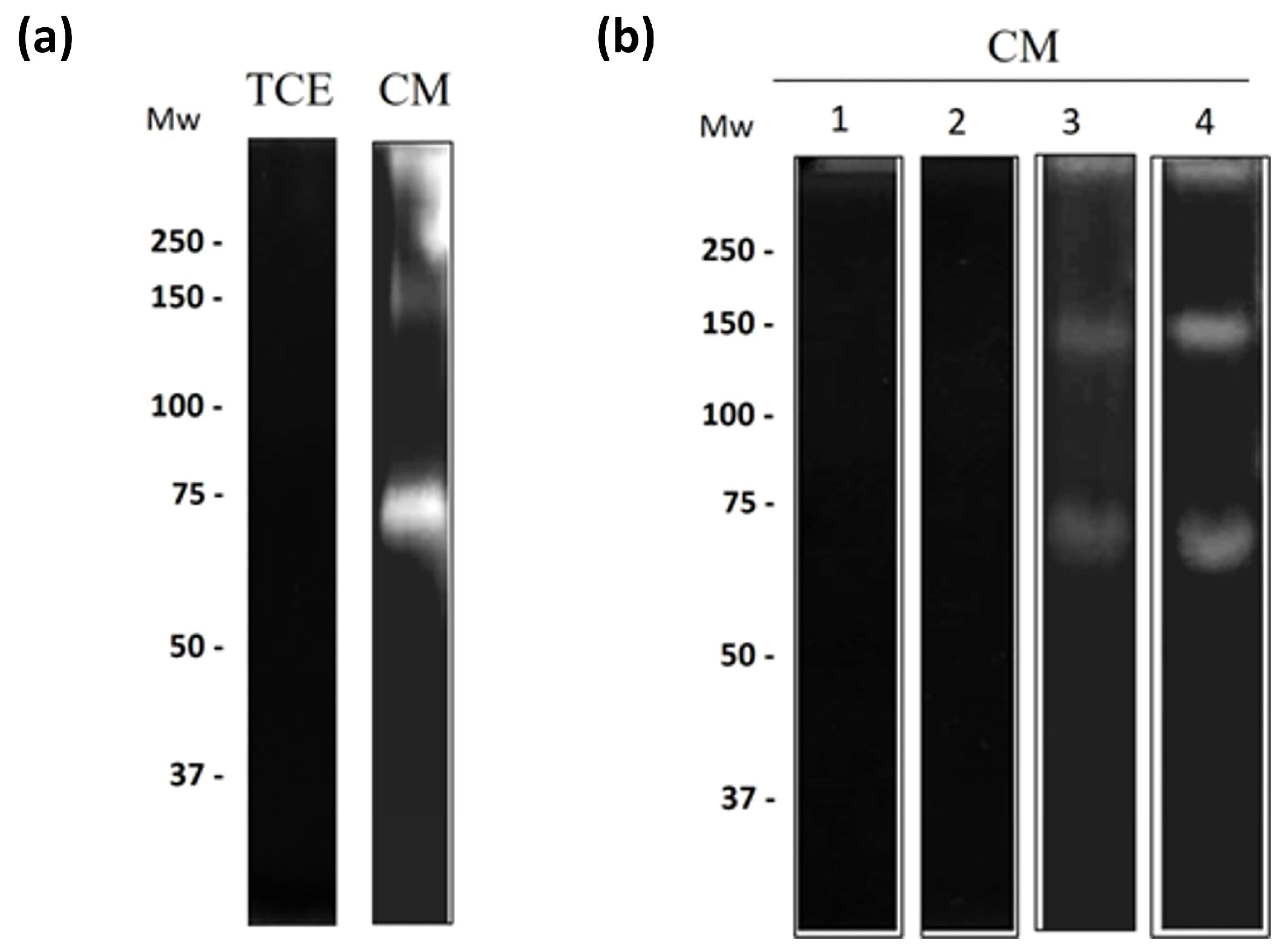 Pathogens 13 00044 g006