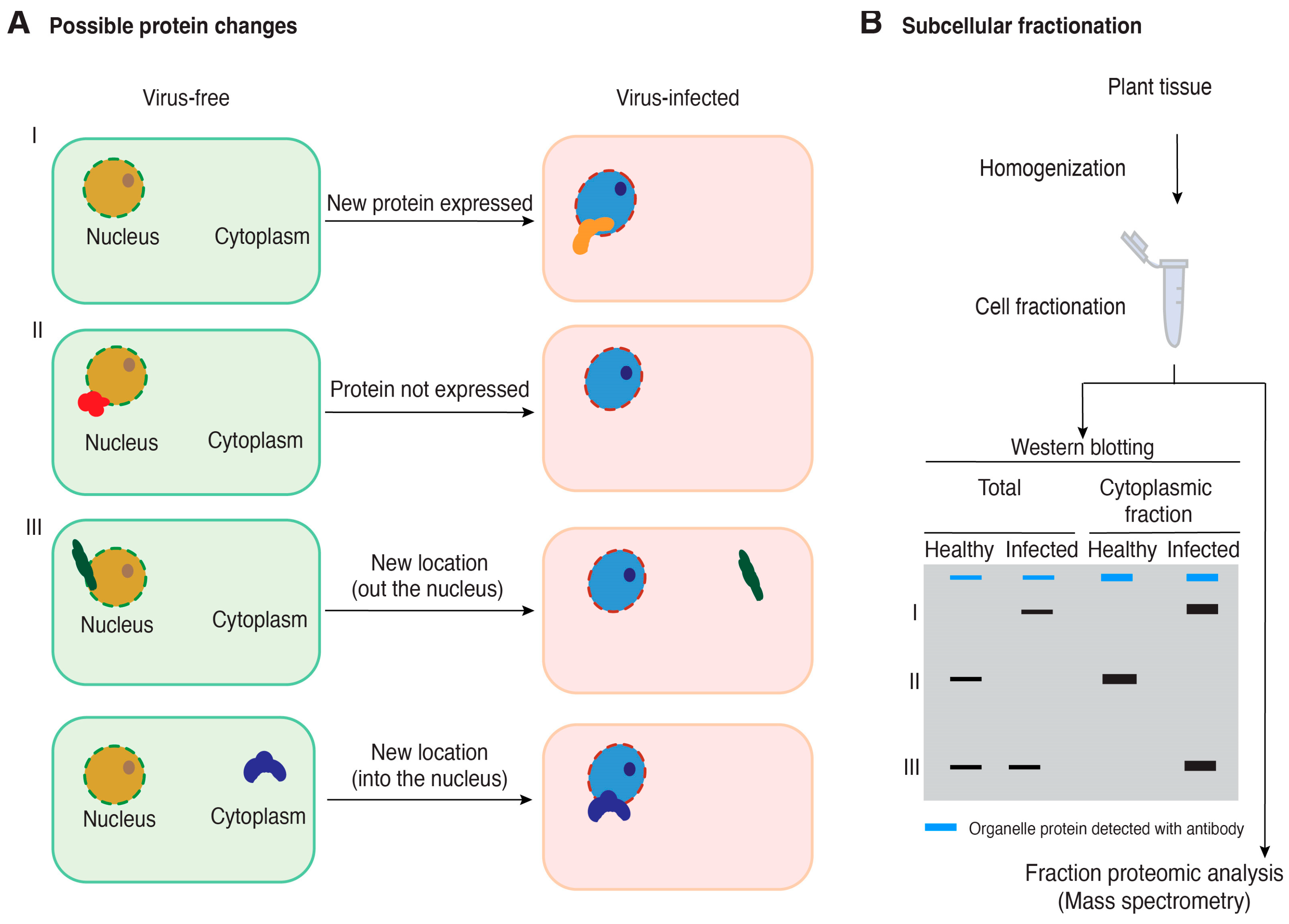 Pathogens 13 00053 g002