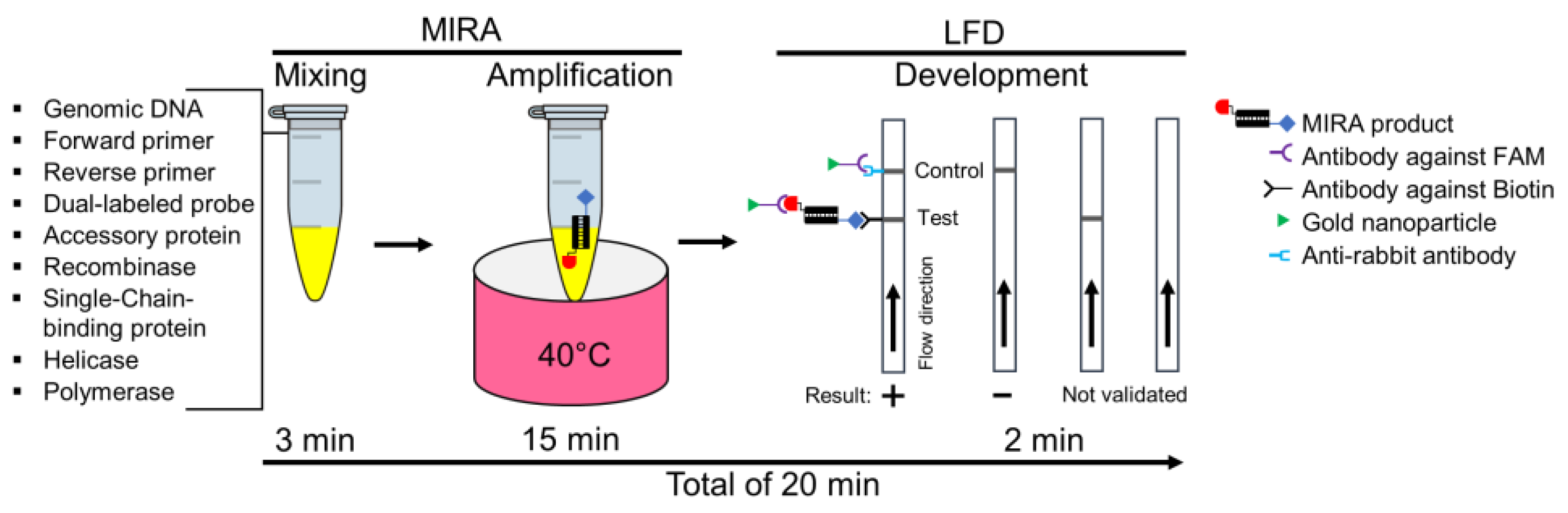 Pathogens 13 00057 g001