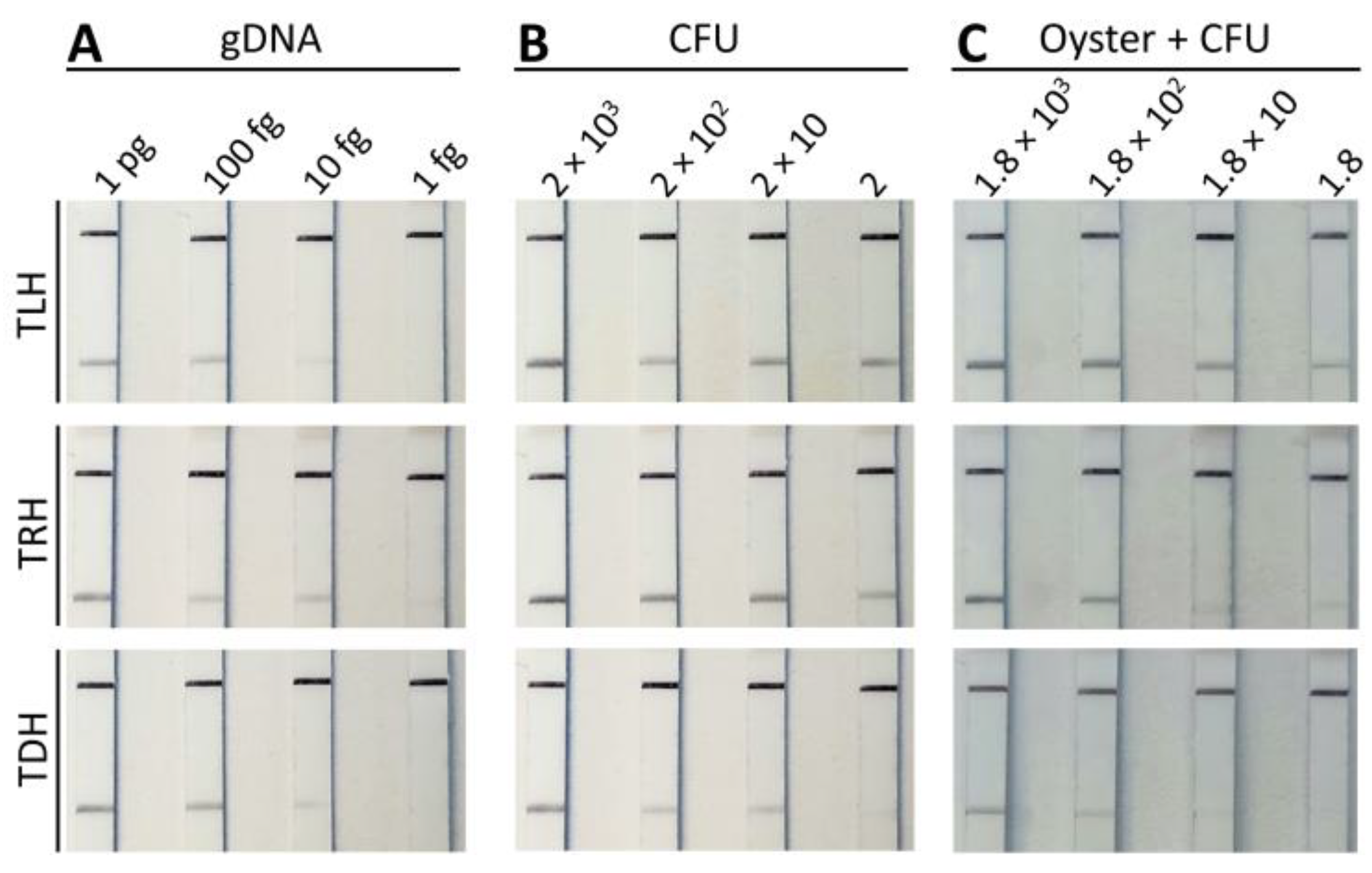 Pathogens 13 00057 g005