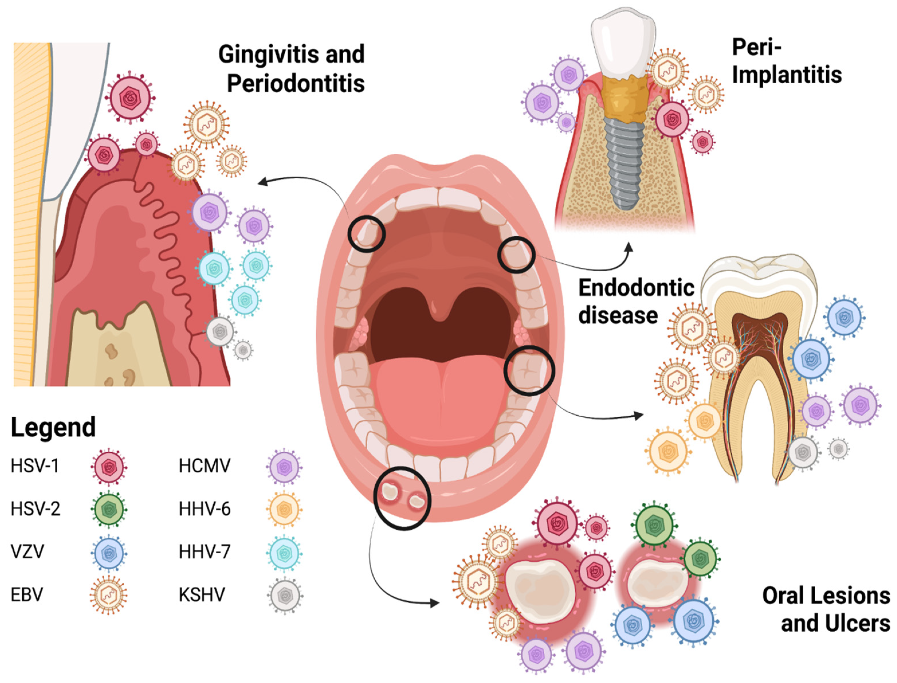 Pathogens 13 00058 g001