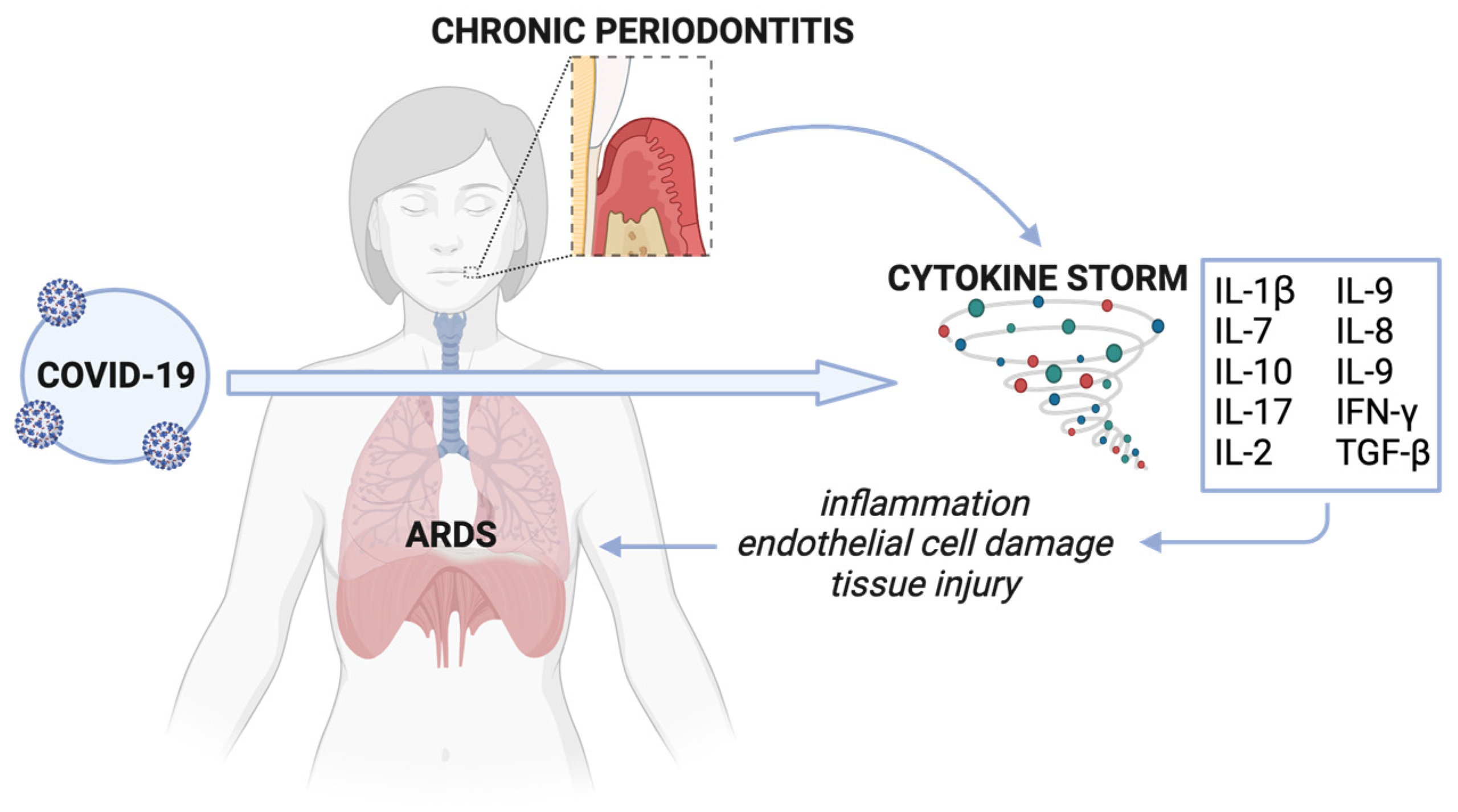Pathogens 13 00058 g002