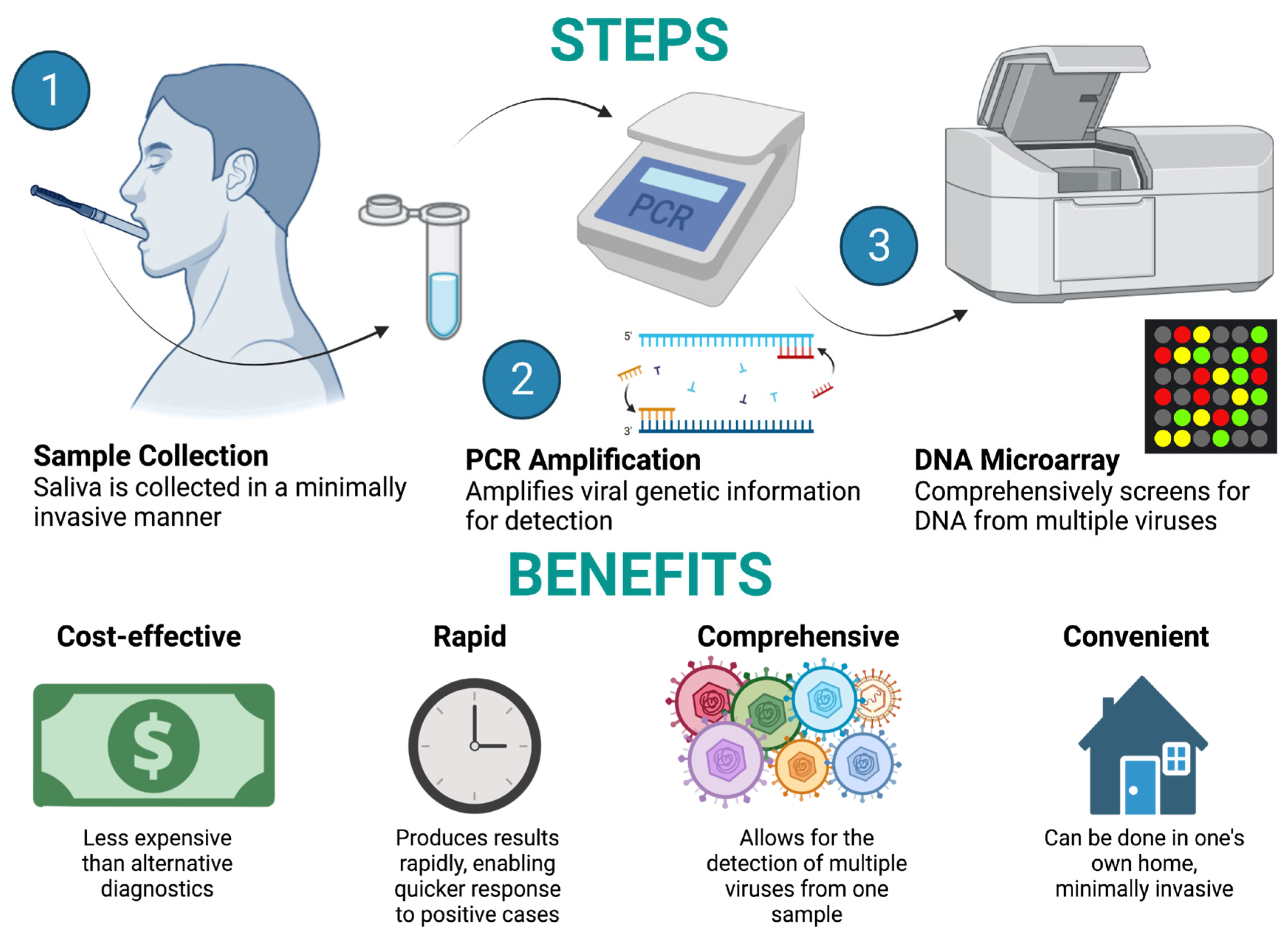 Pathogens 13 00058 g003