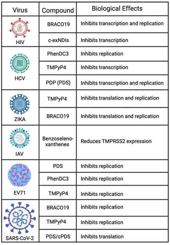 G-Quadruplexes in the Regulation of Viral Gene Expressions and Their Impacts on Controlling Infection G-Quadruplexes in the Regulation of Viral Gene Expressions and Their Impacts on Controlling Infection