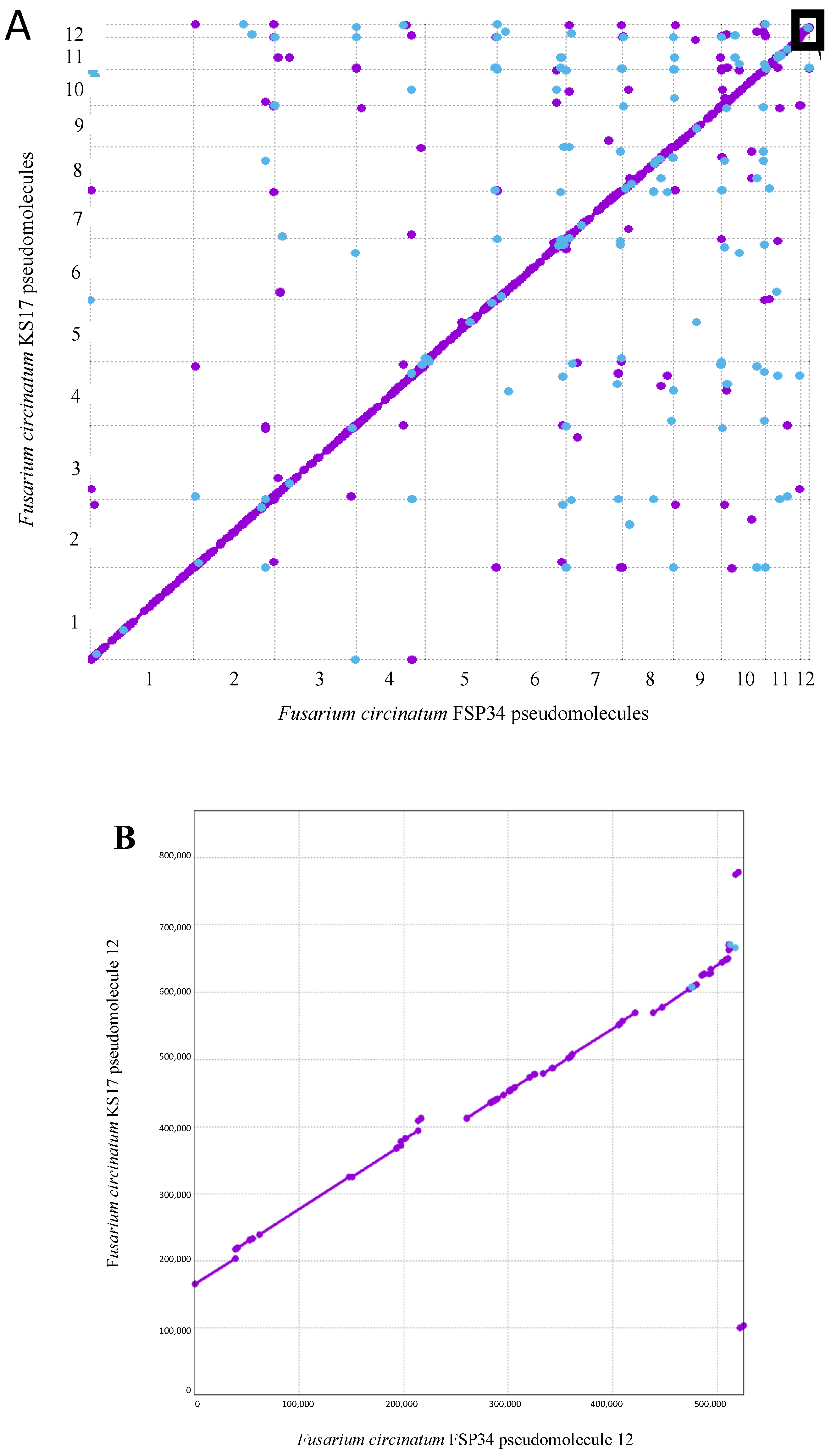 Pathogens 13 00070 g001