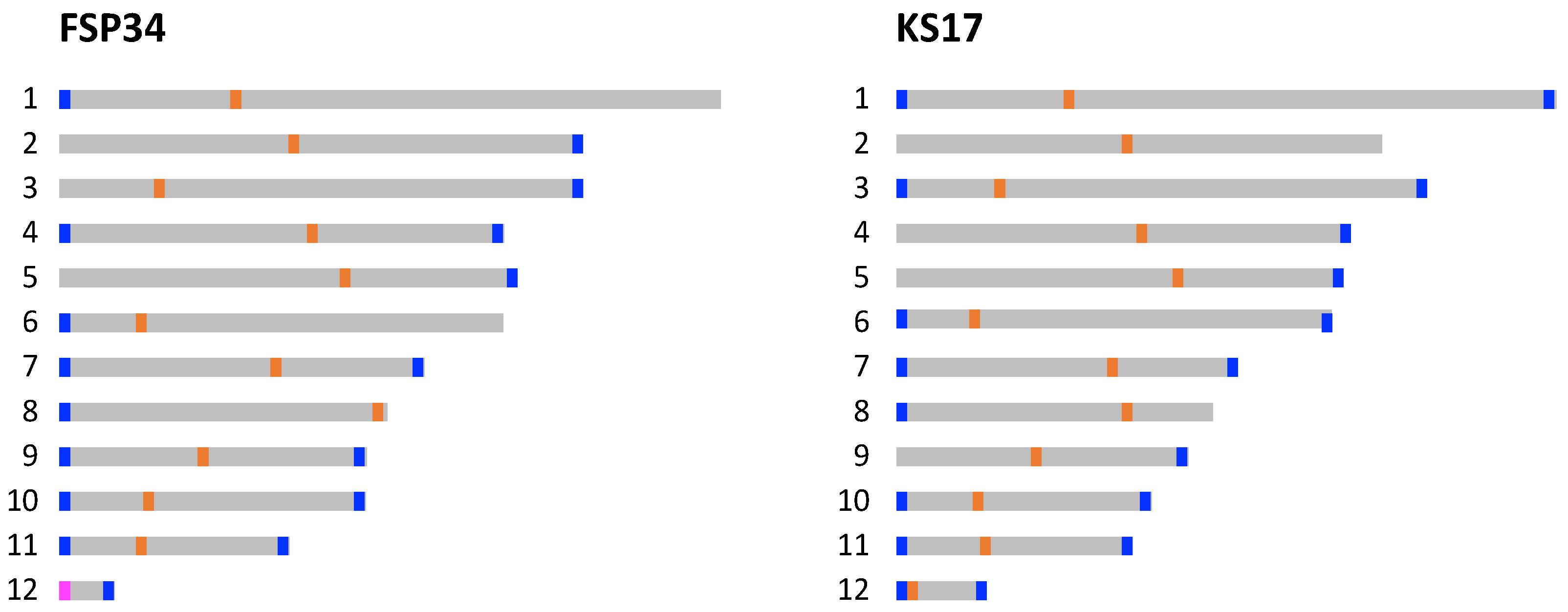 Pathogens 13 00070 g002