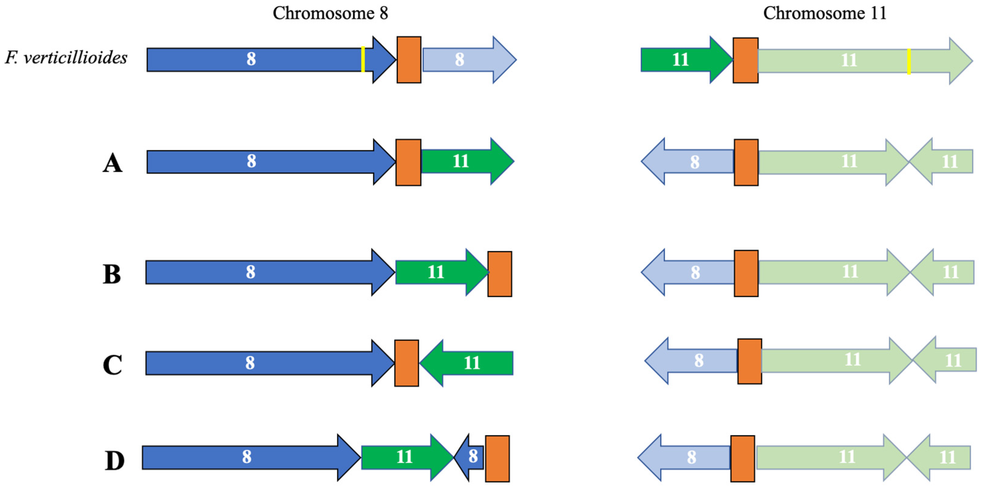 Pathogens 13 00070 g003