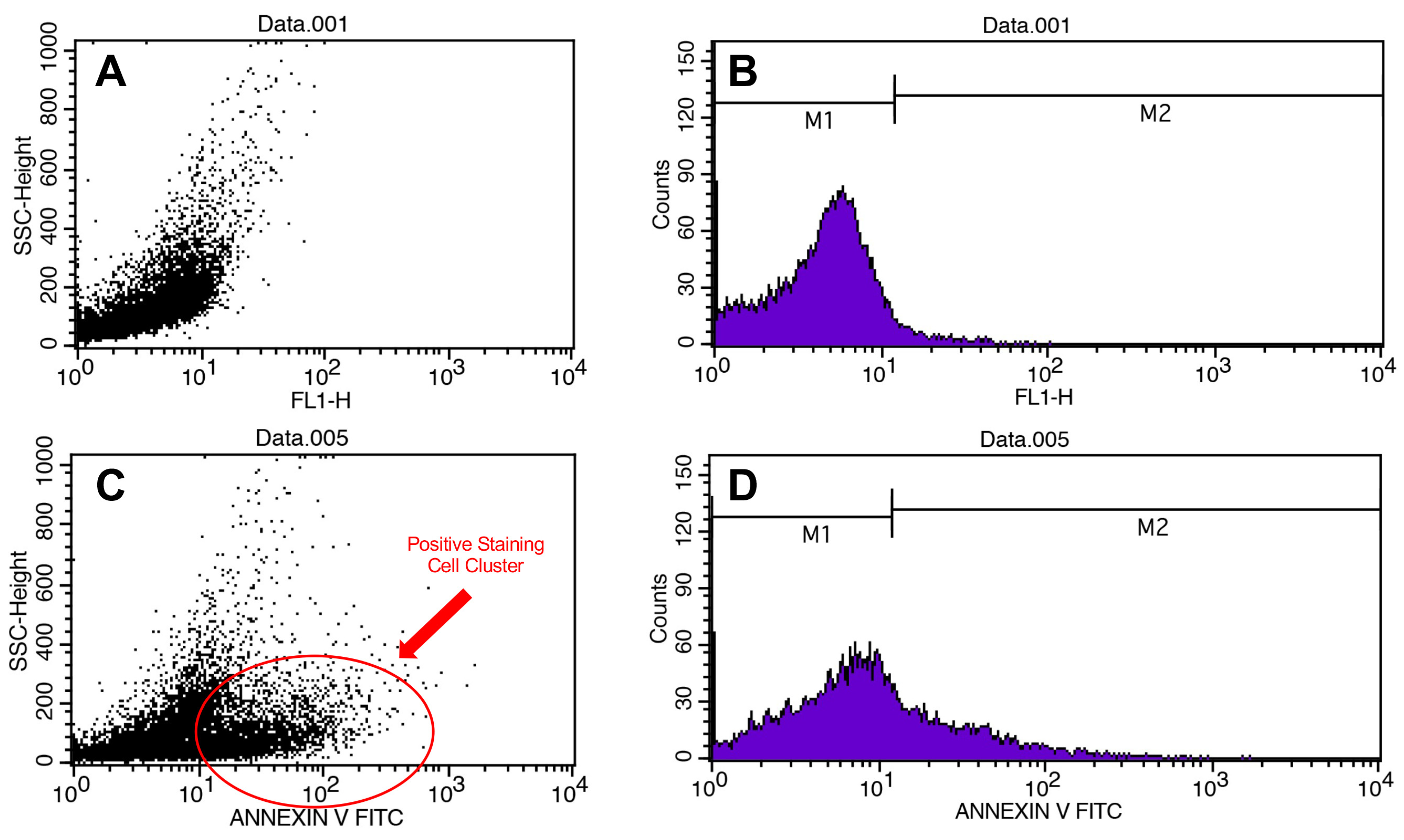 Pathogens 13 00072 g003 Pathogens 13 00072 g003
