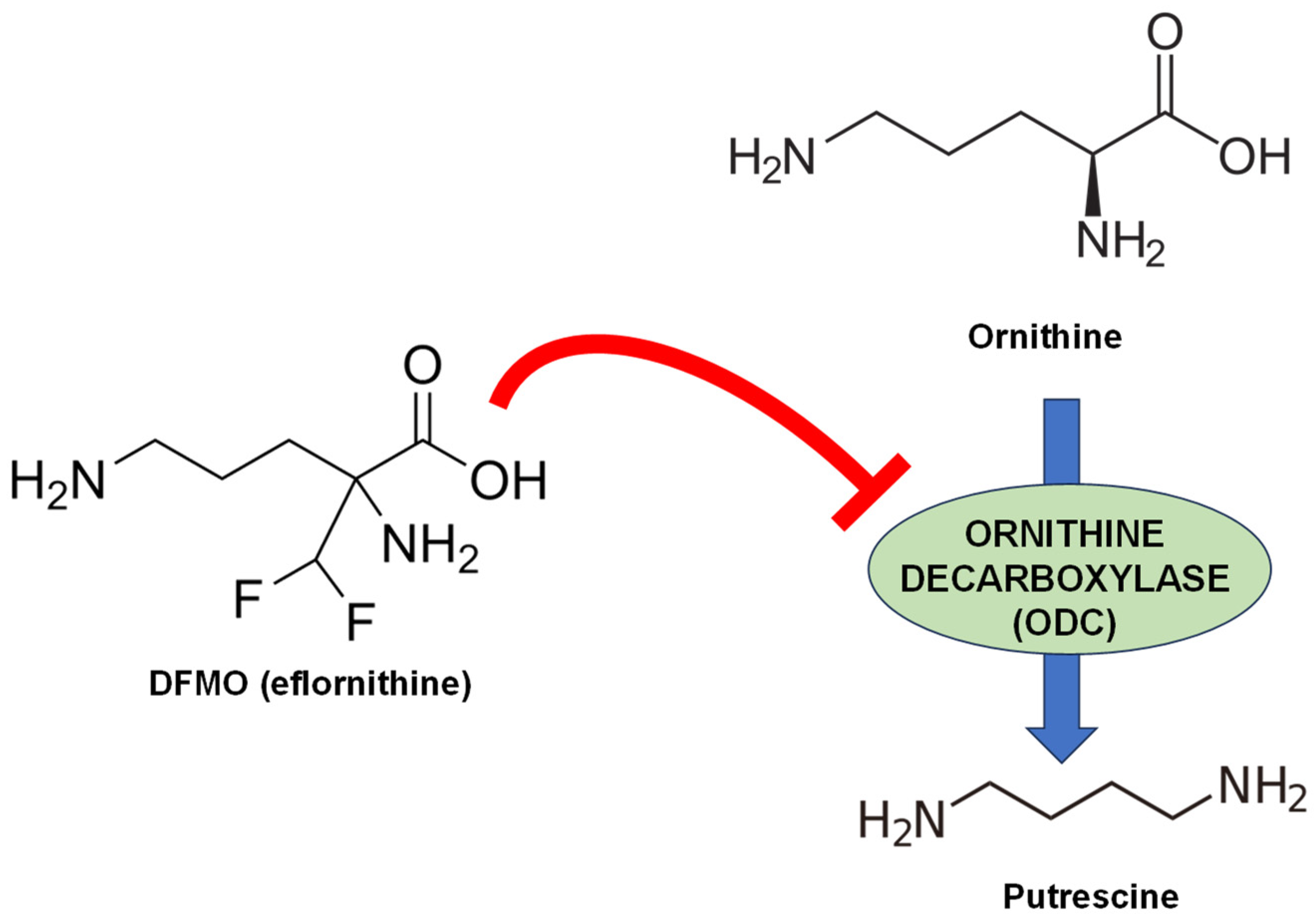 Pathogens 13 00079 g001 Pathogens 13 00079 g001