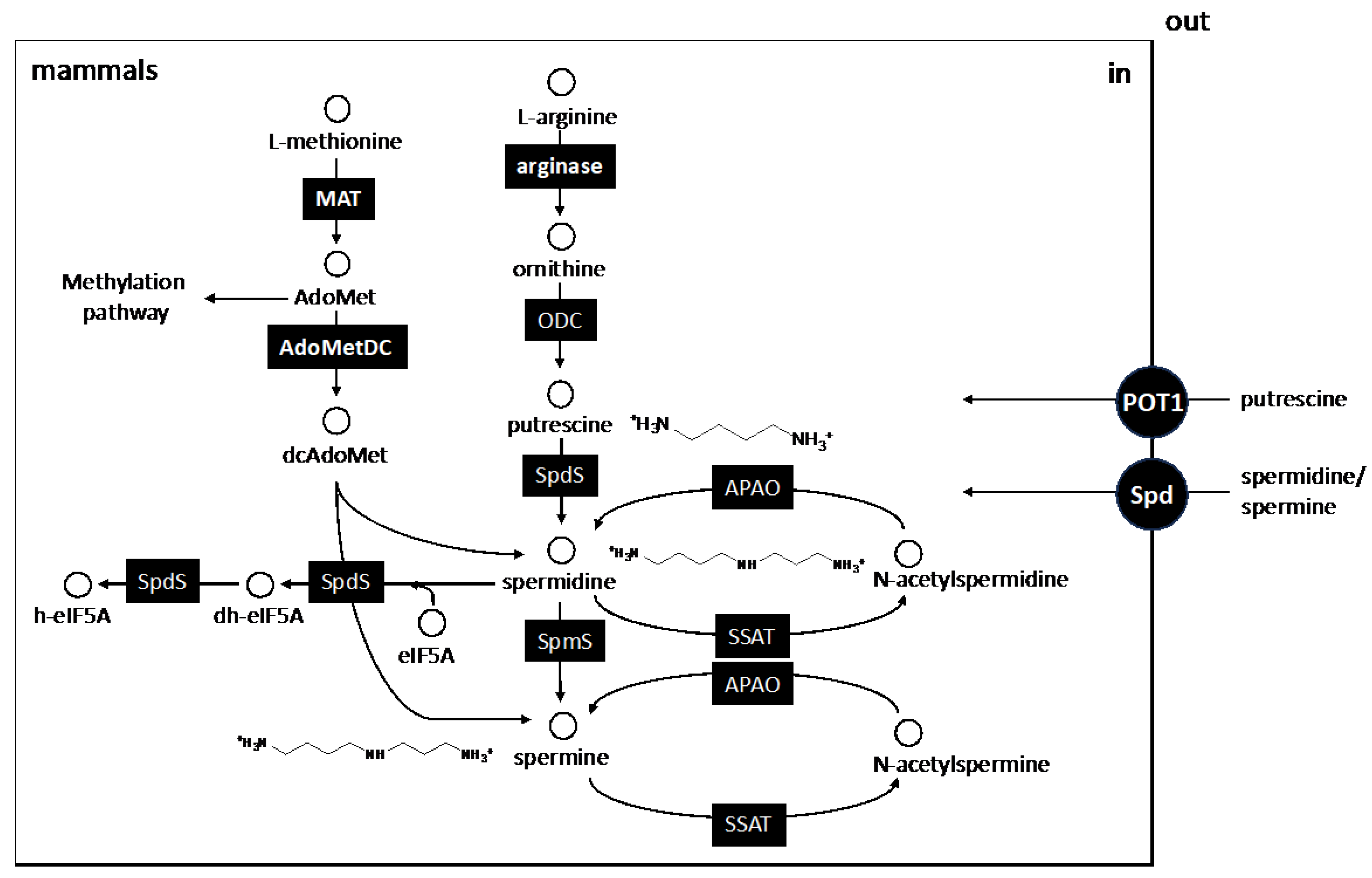 Pathogens 13 00079 g003 Pathogens 13 00079 g003