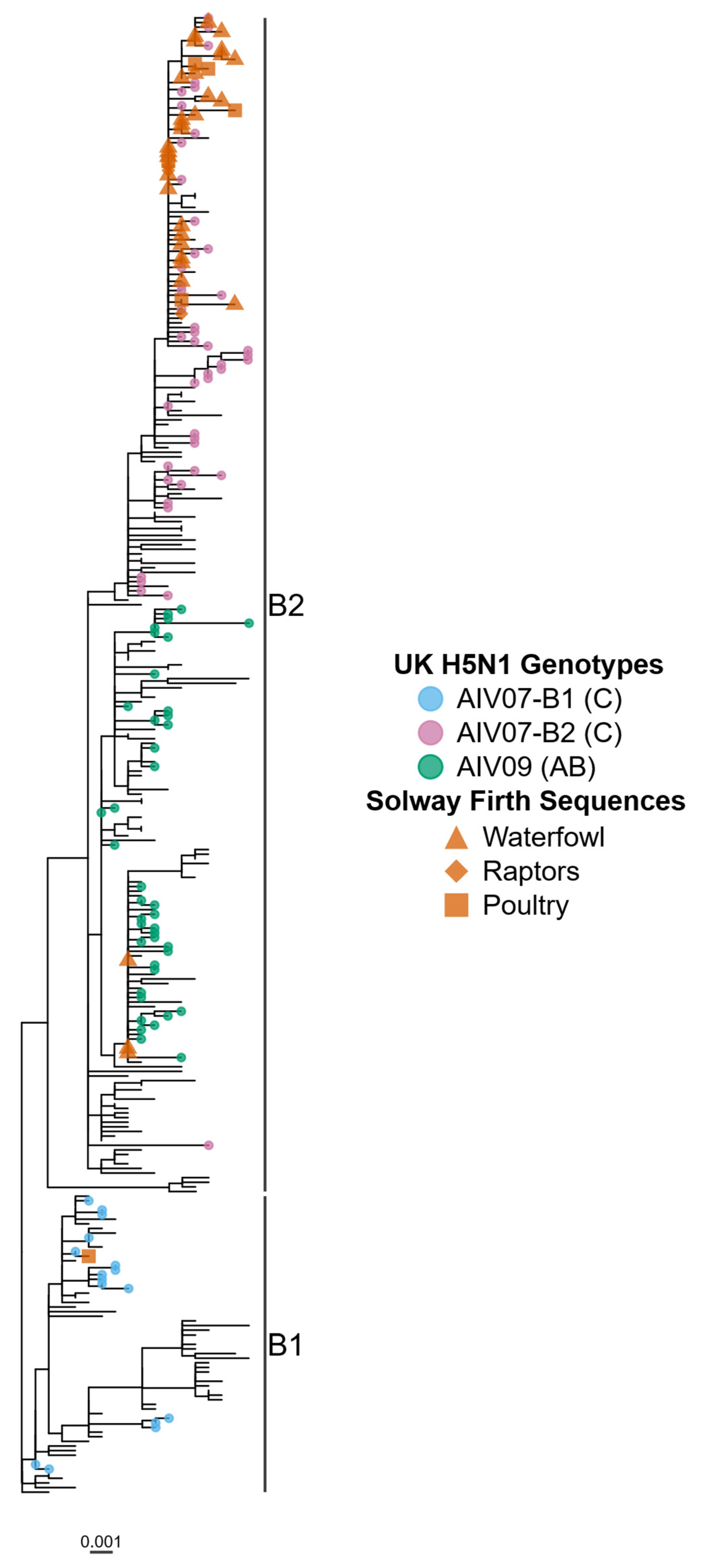 Pathogens 13 00083 g003