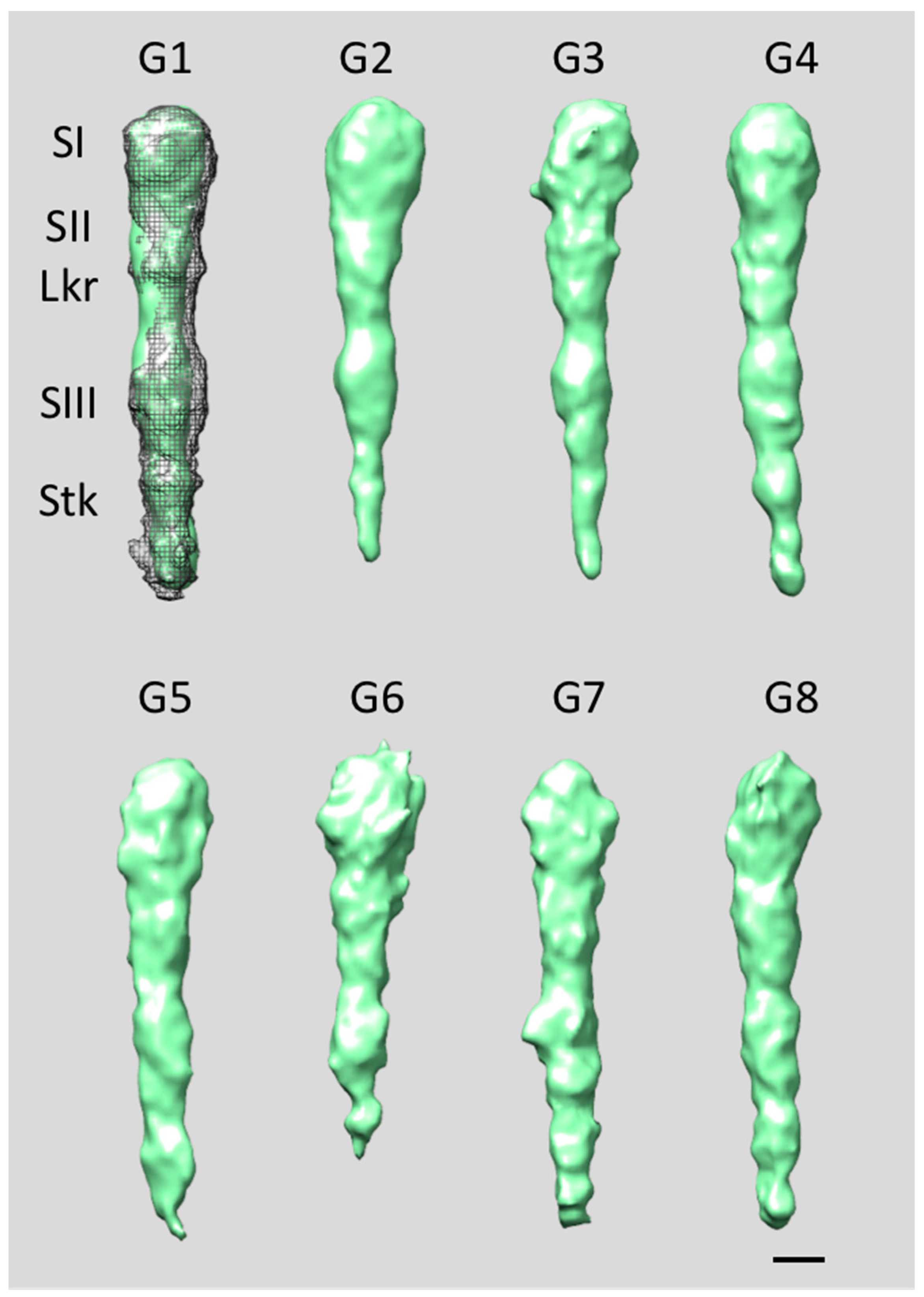 Pathogens 13 00099 g008