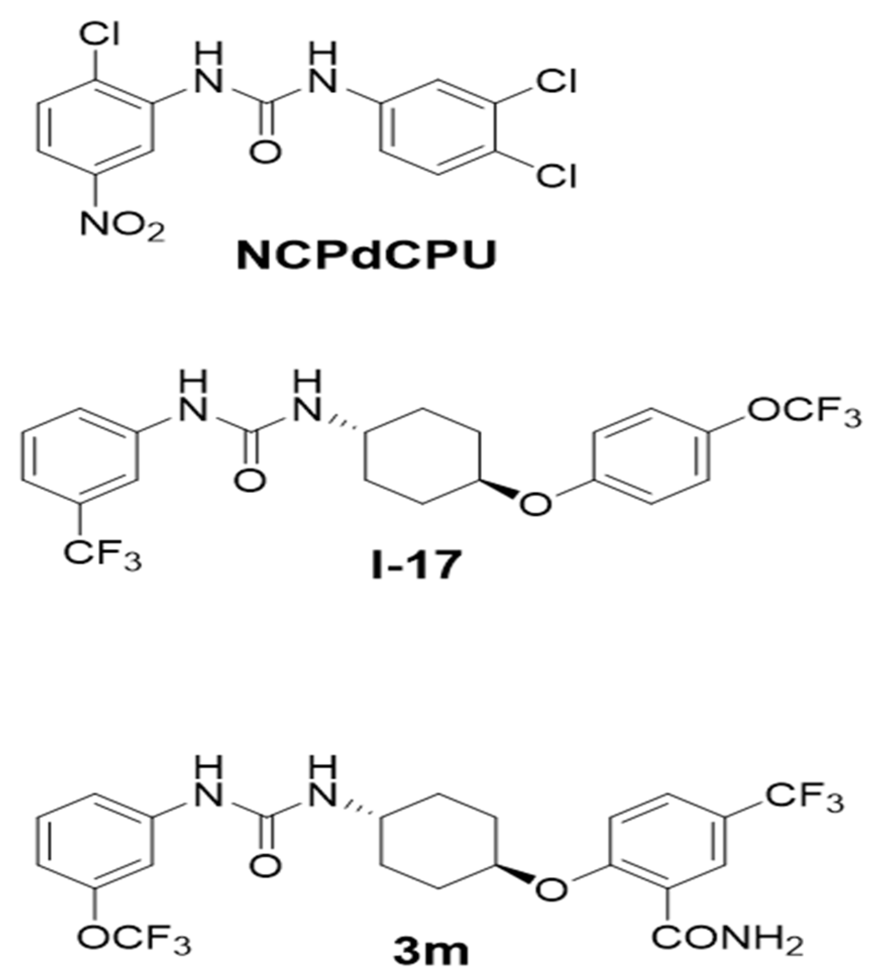 Pathogens 13 00104 g001