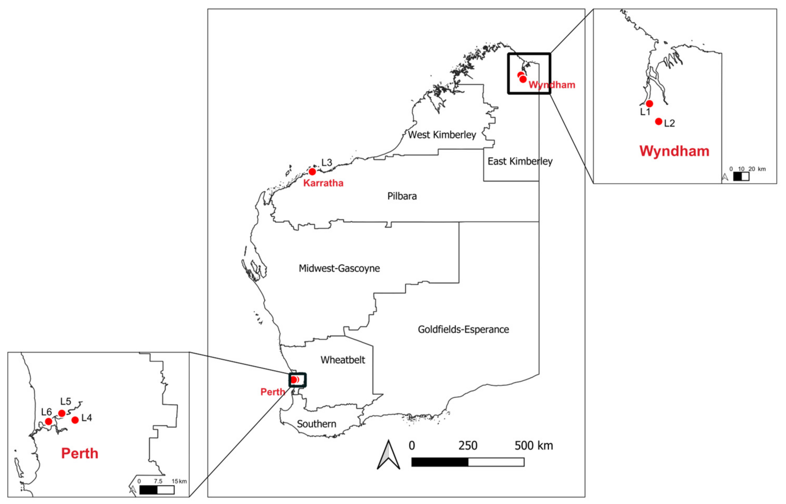 Pathogens 13 00107 g001
