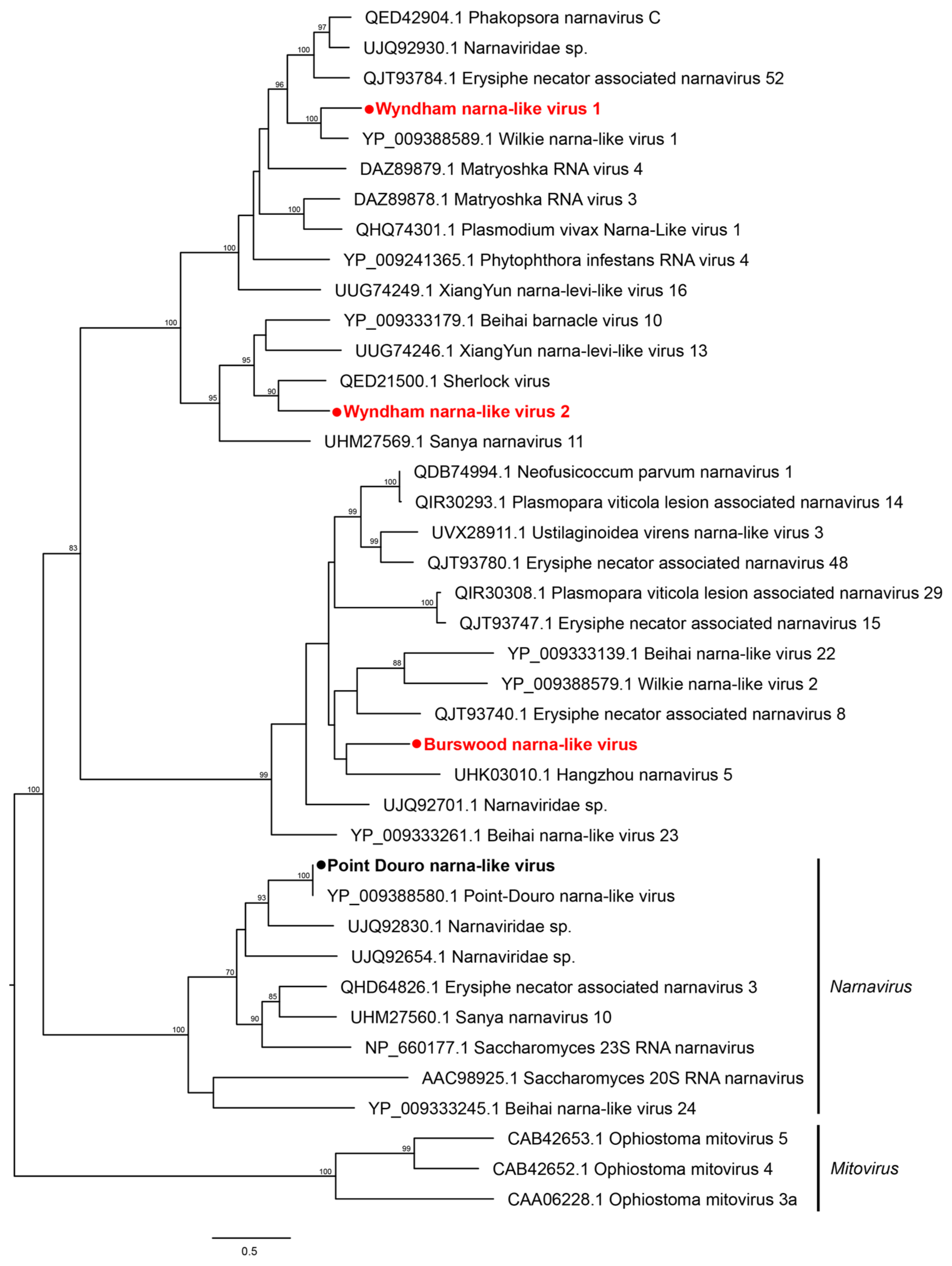 Pathogens 13 00107 g006
