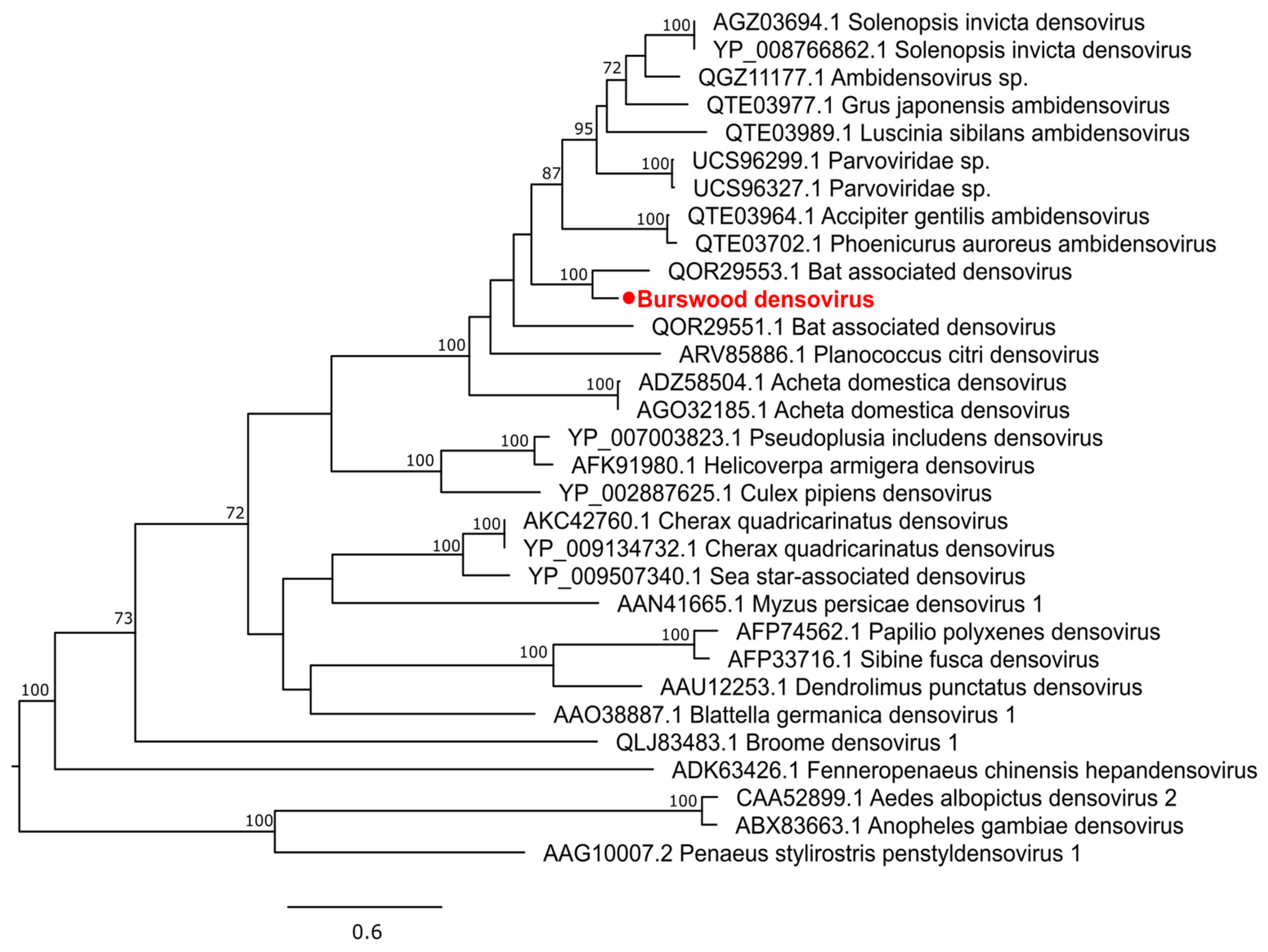 Pathogens 13 00107 g009