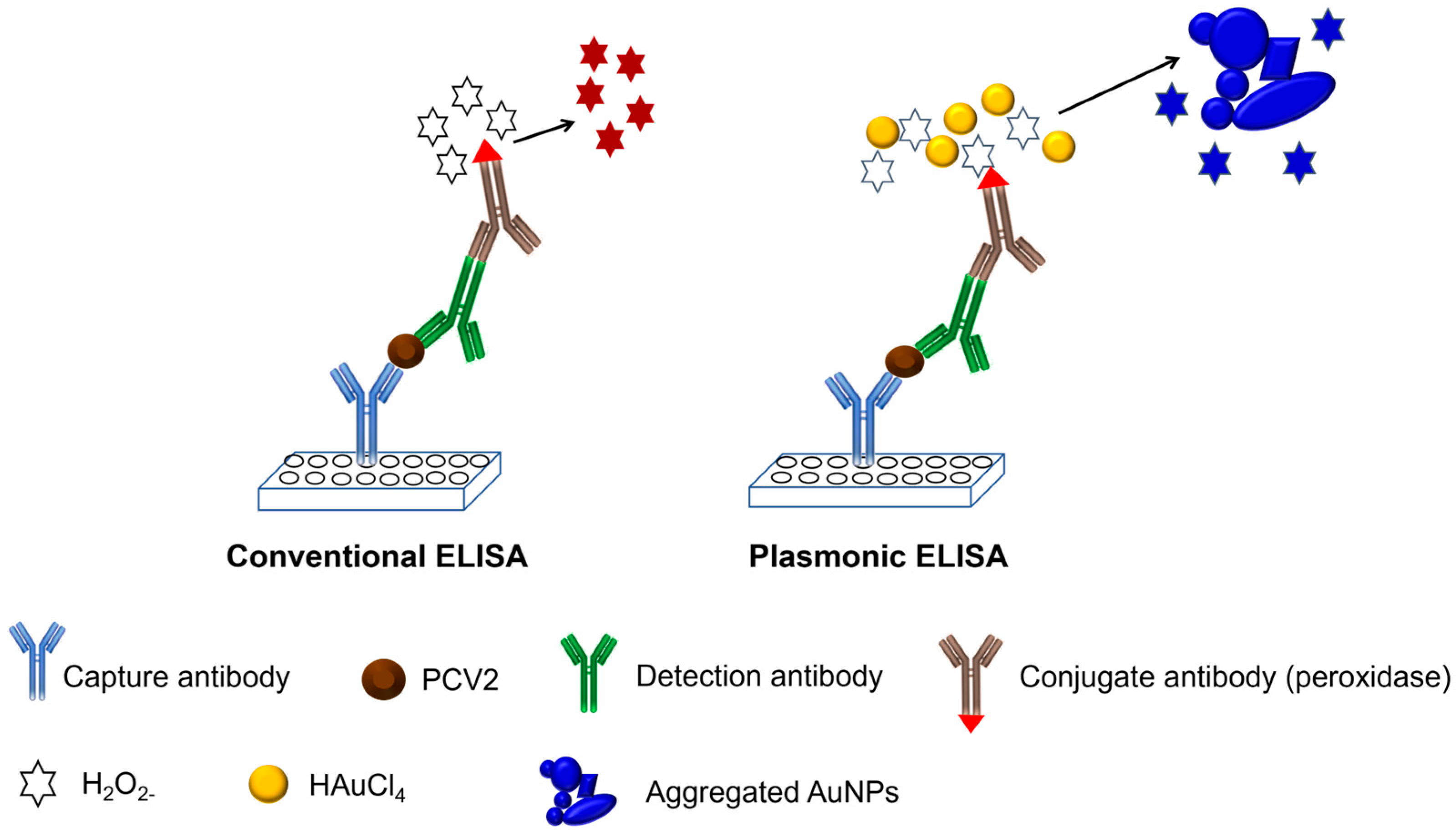 Pathogens 13 00108 g001