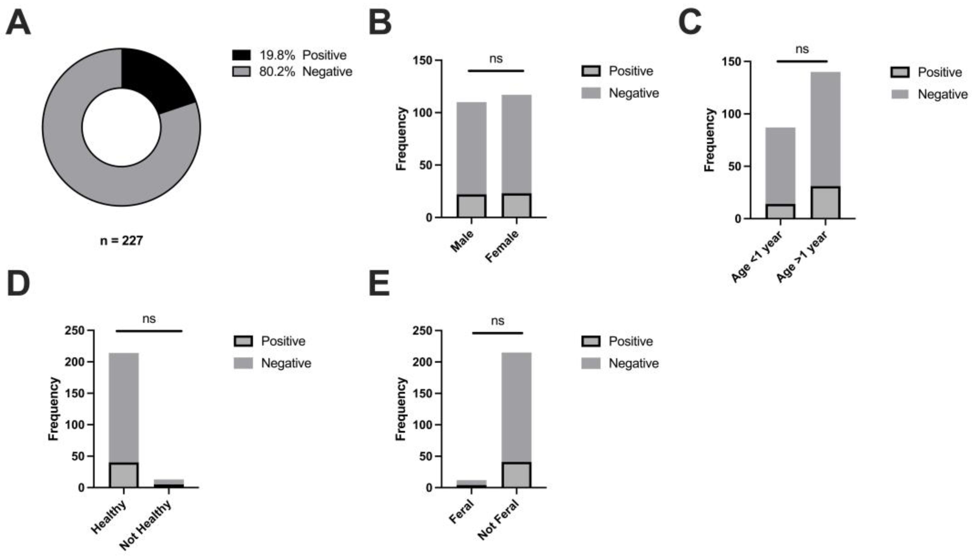 Pathogens 13 00111 g001