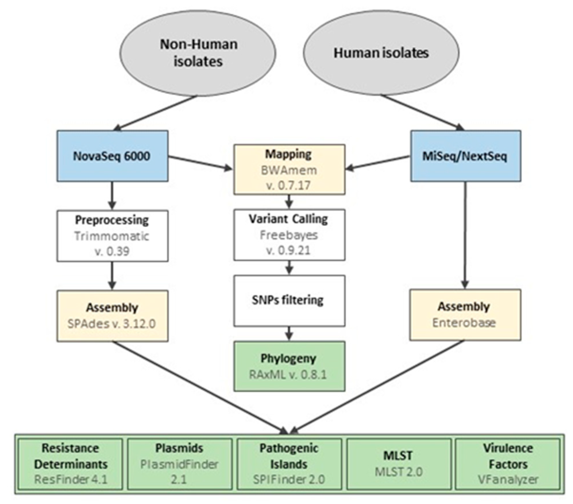 Pathogens 13 00112 g001
