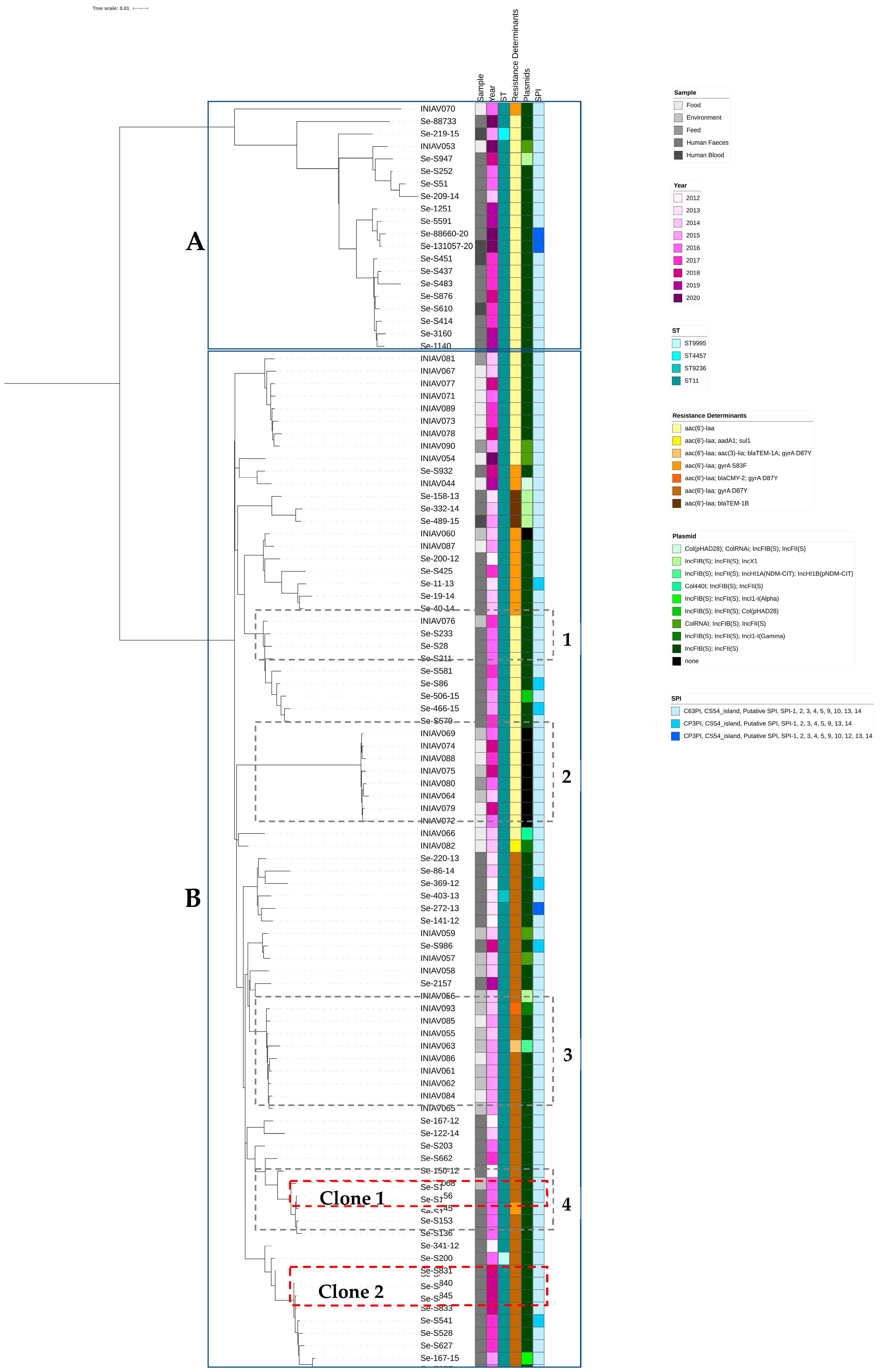 Pathogens 13 00112 g003