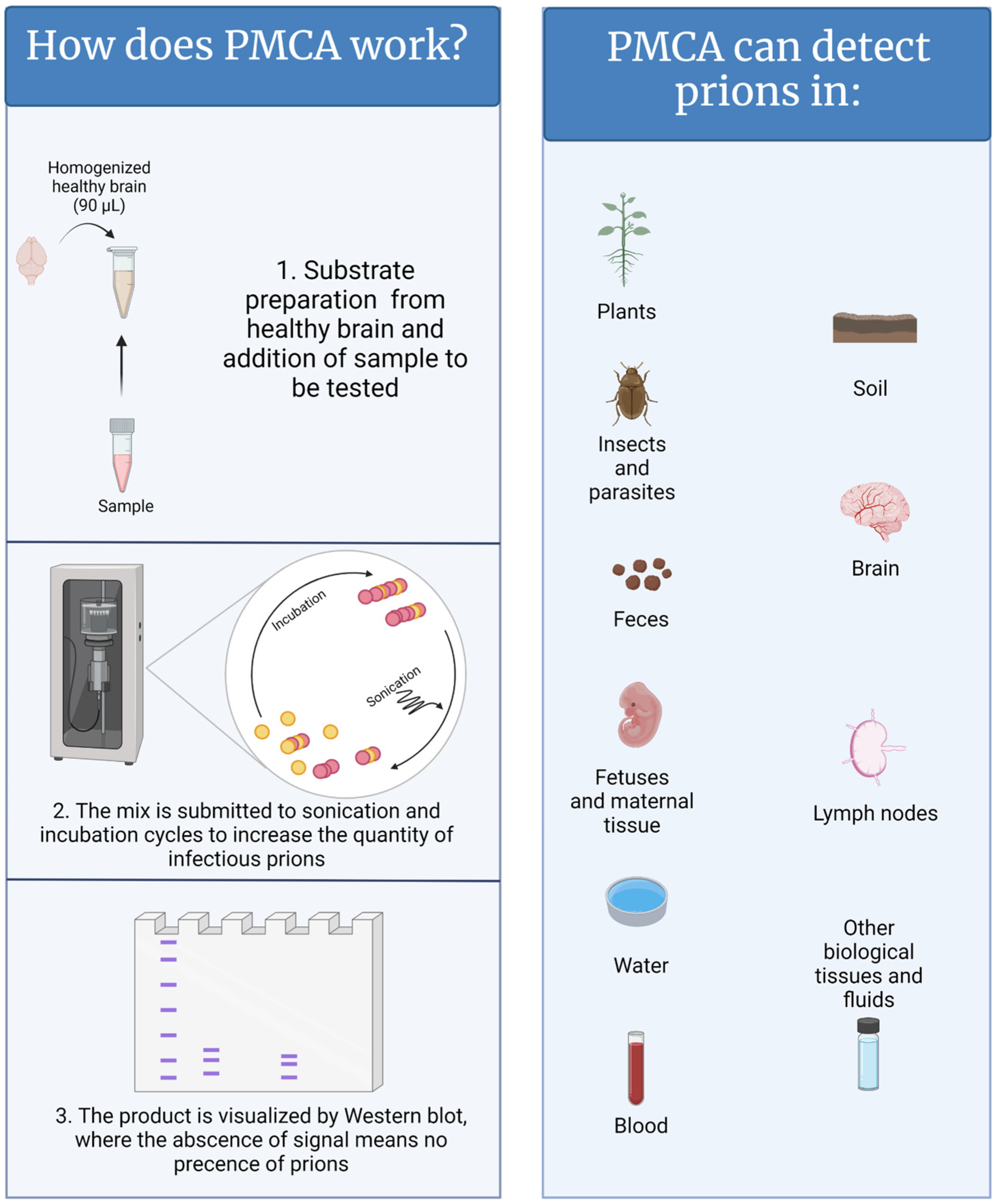 Pathogens 13 00138 g001