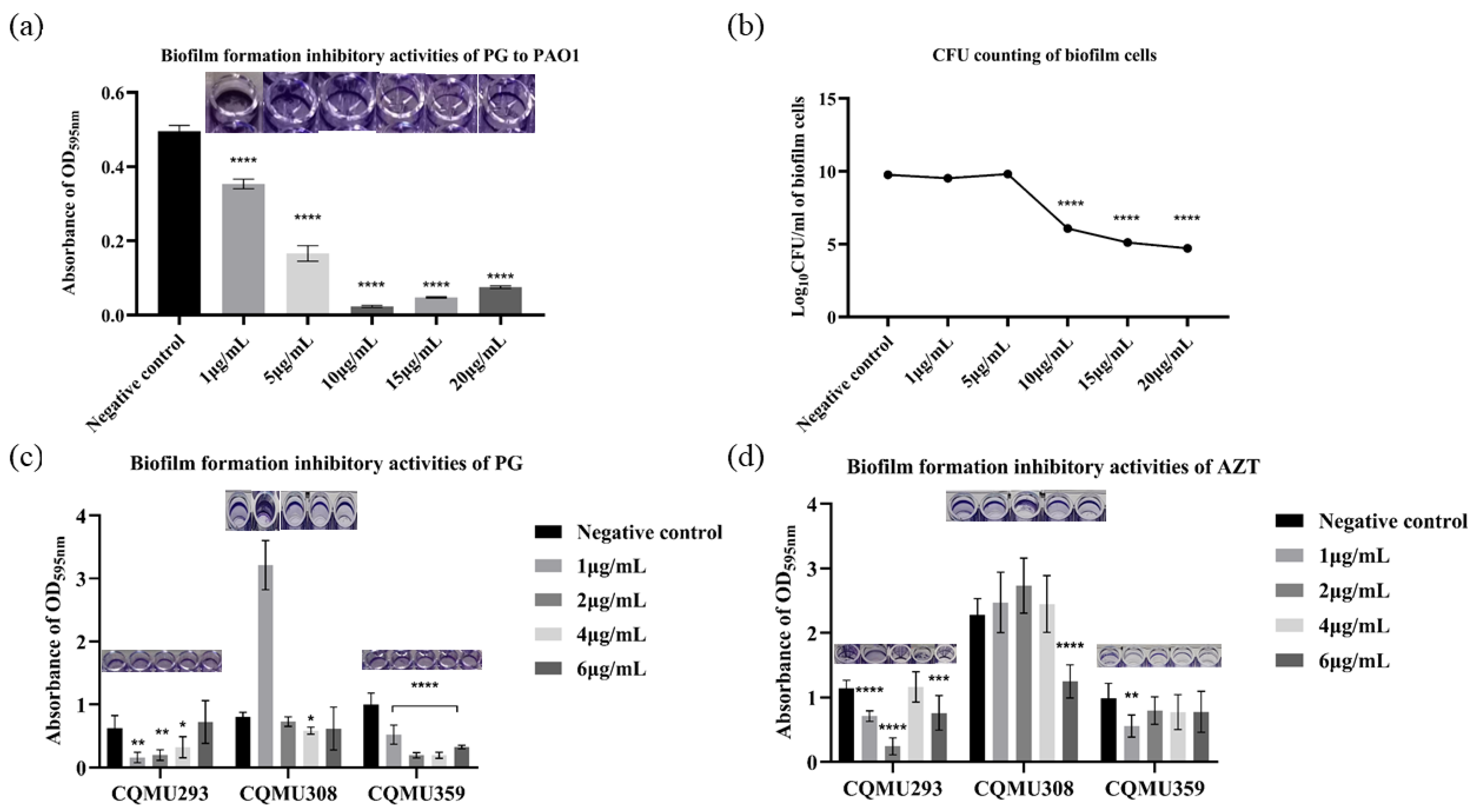 Pathogens 13 00145 g001