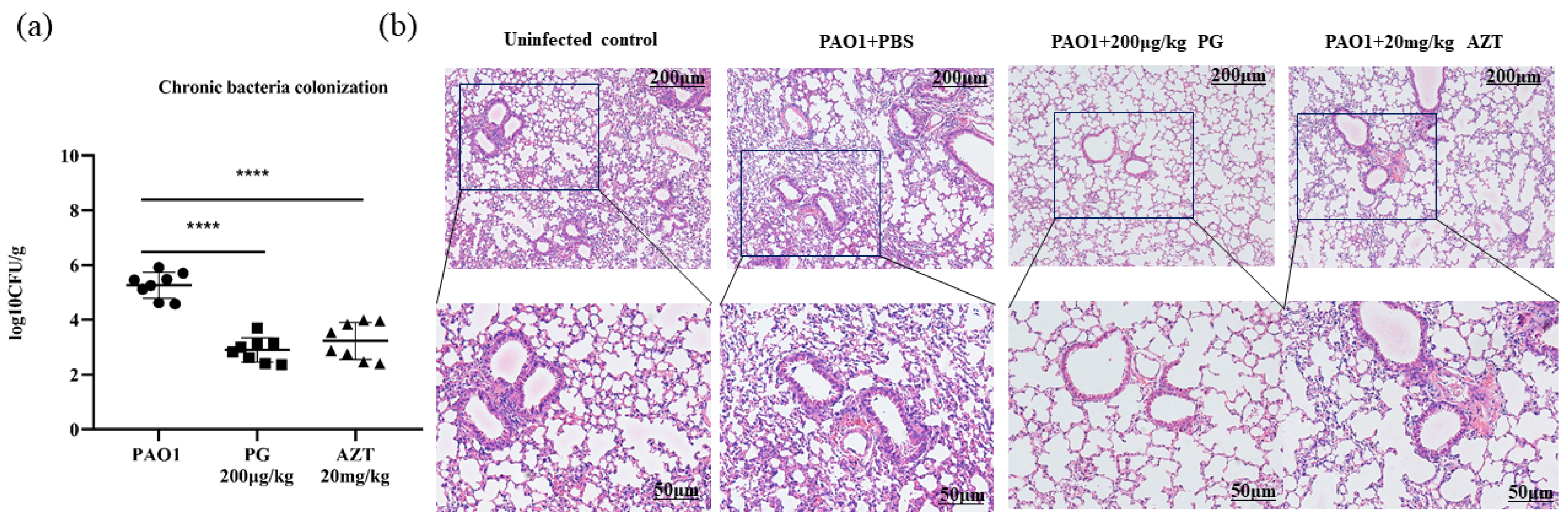 Pathogens 13 00145 g004