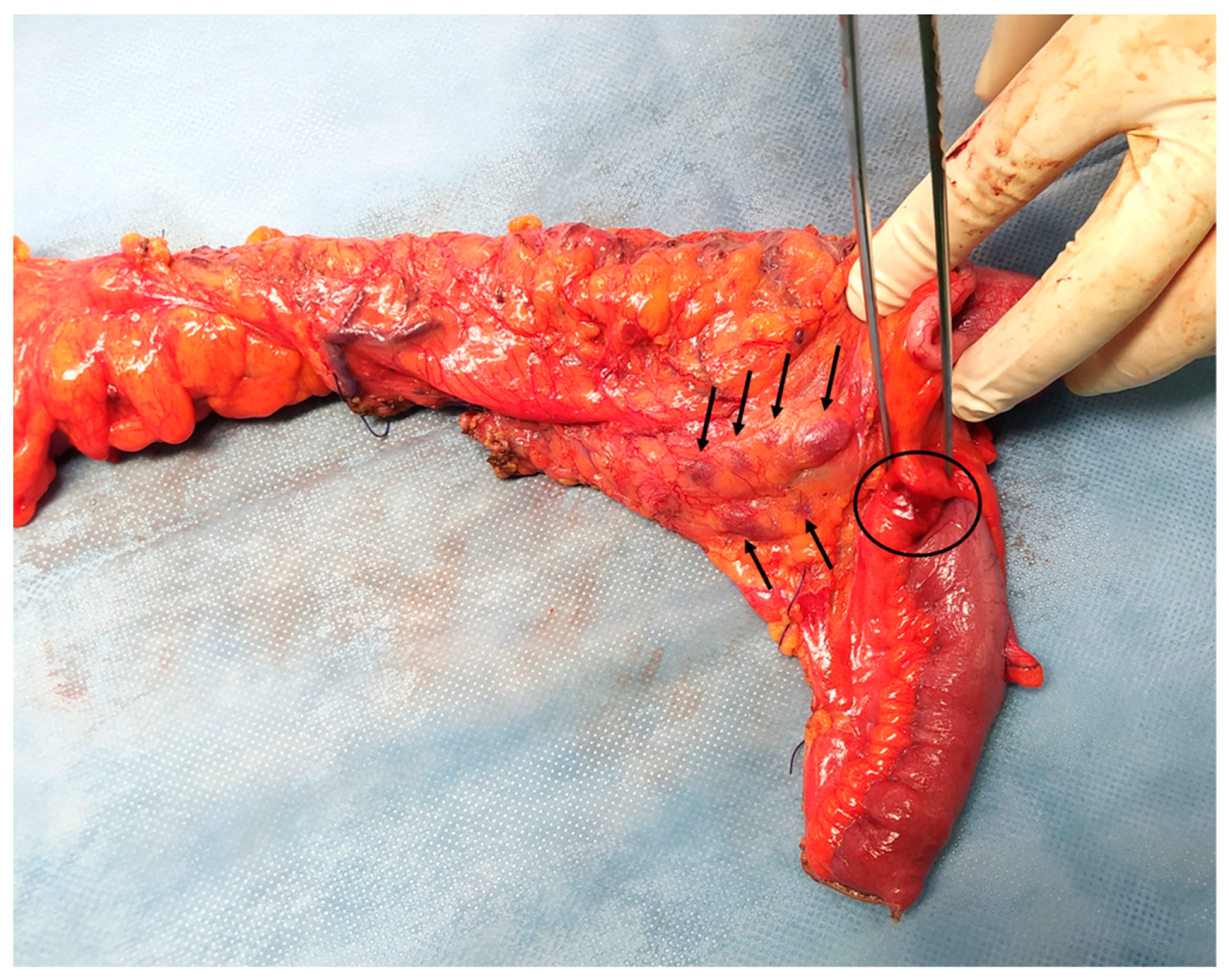 Pathogens 13 00149 g002