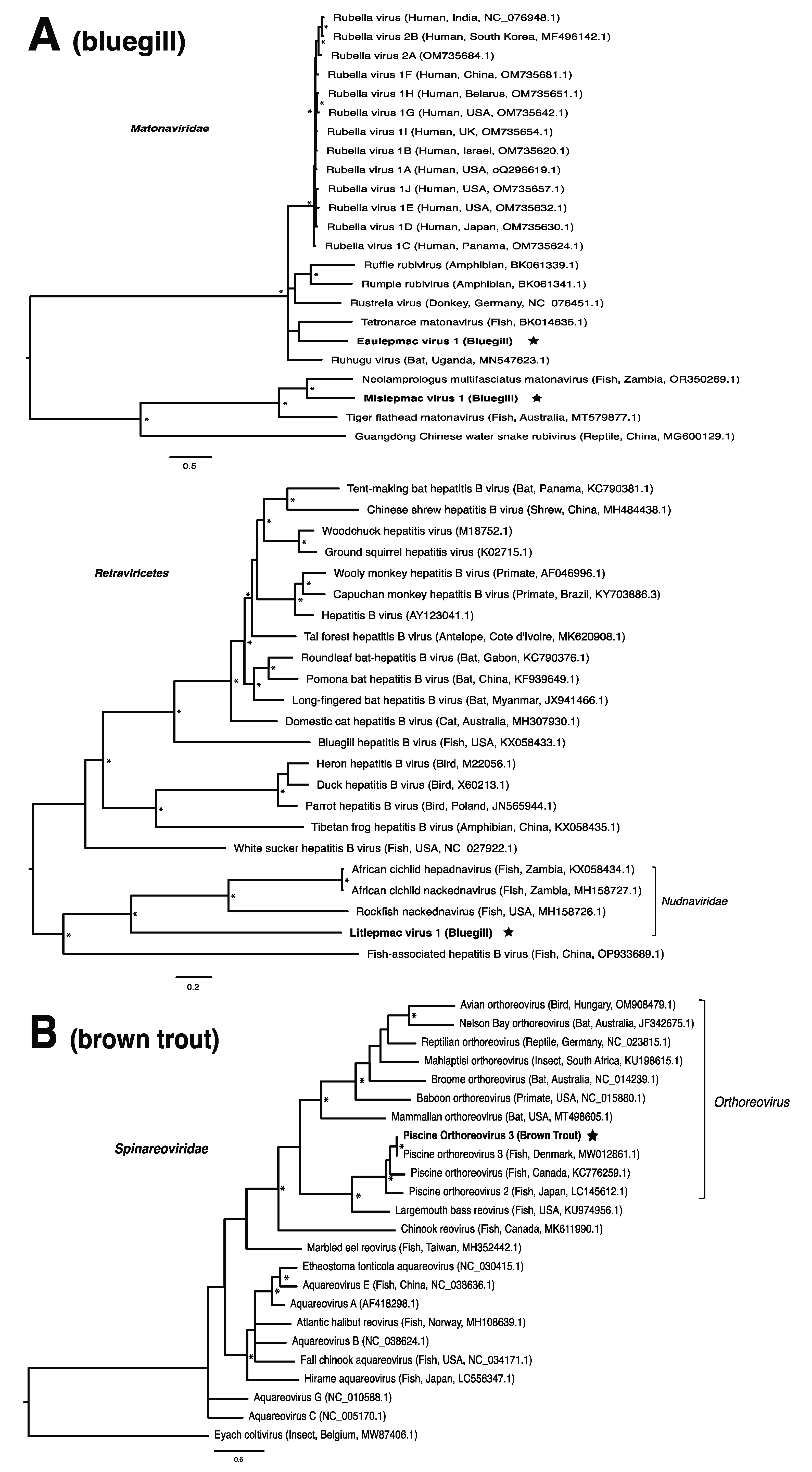 Pathogens 13 00150 g002a Pathogens 13 00150 g002a