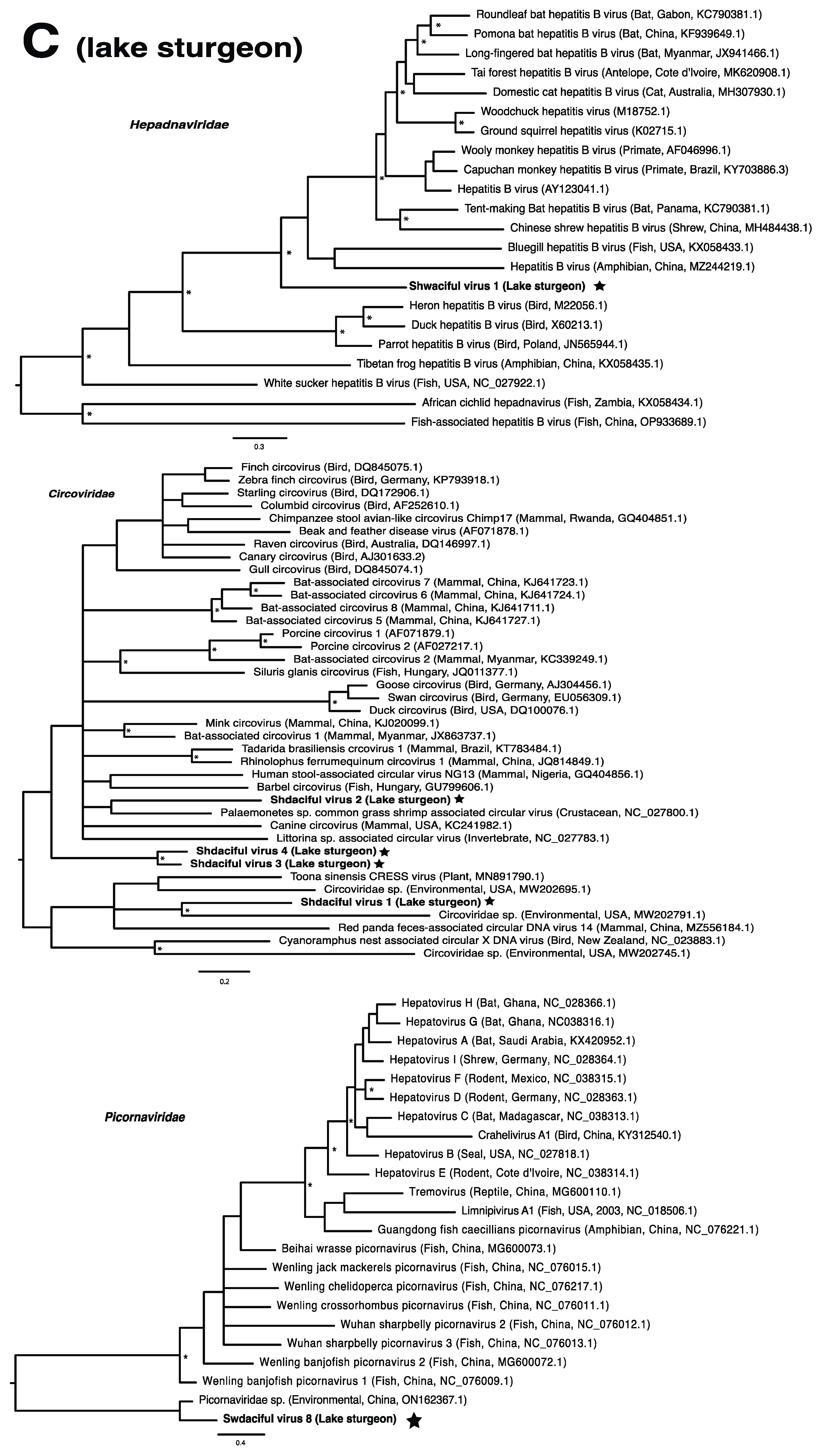 Pathogens 13 00150 g002b Pathogens 13 00150 g002b