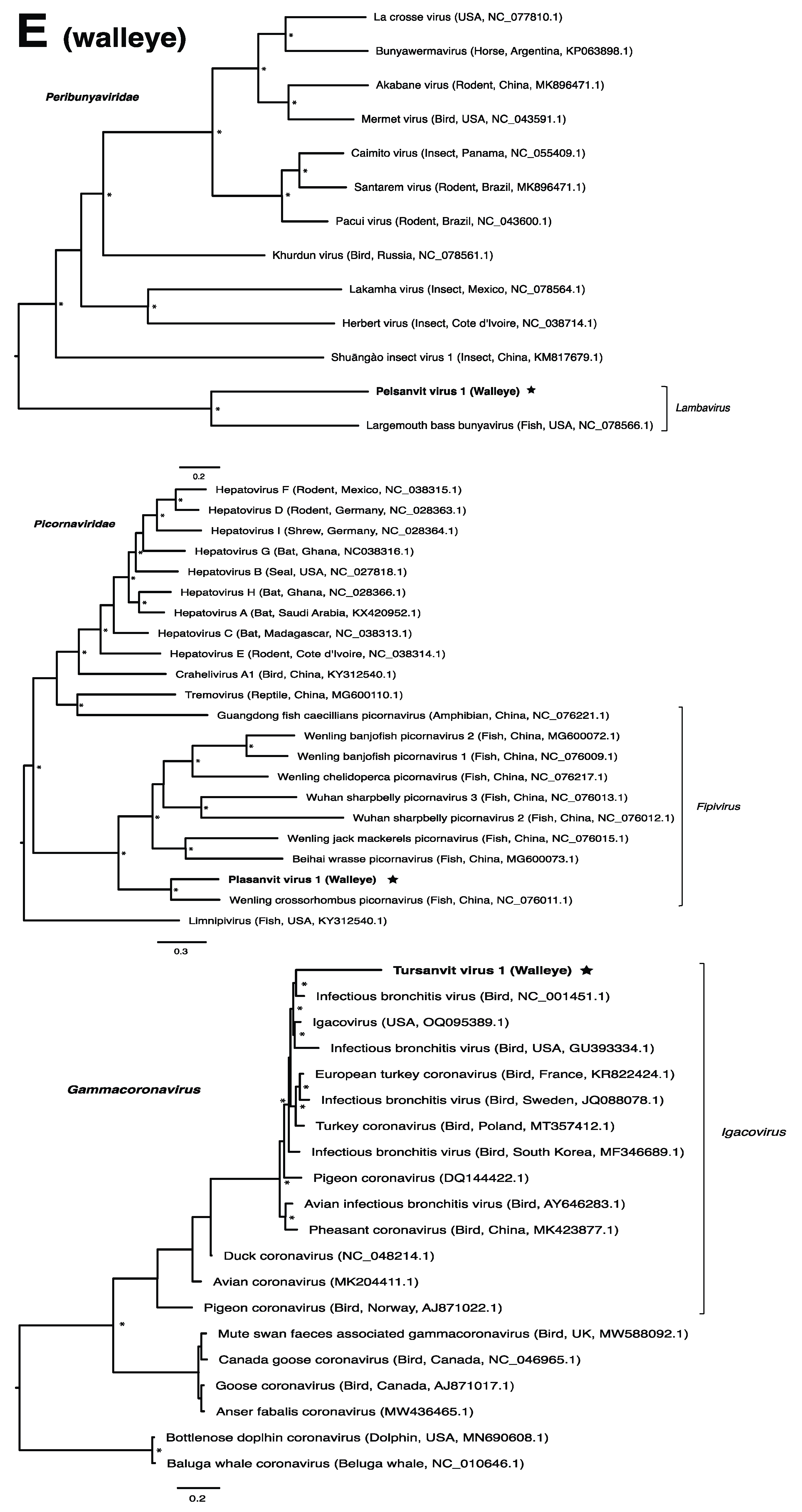 Pathogens 13 00150 g002d Pathogens 13 00150 g002d