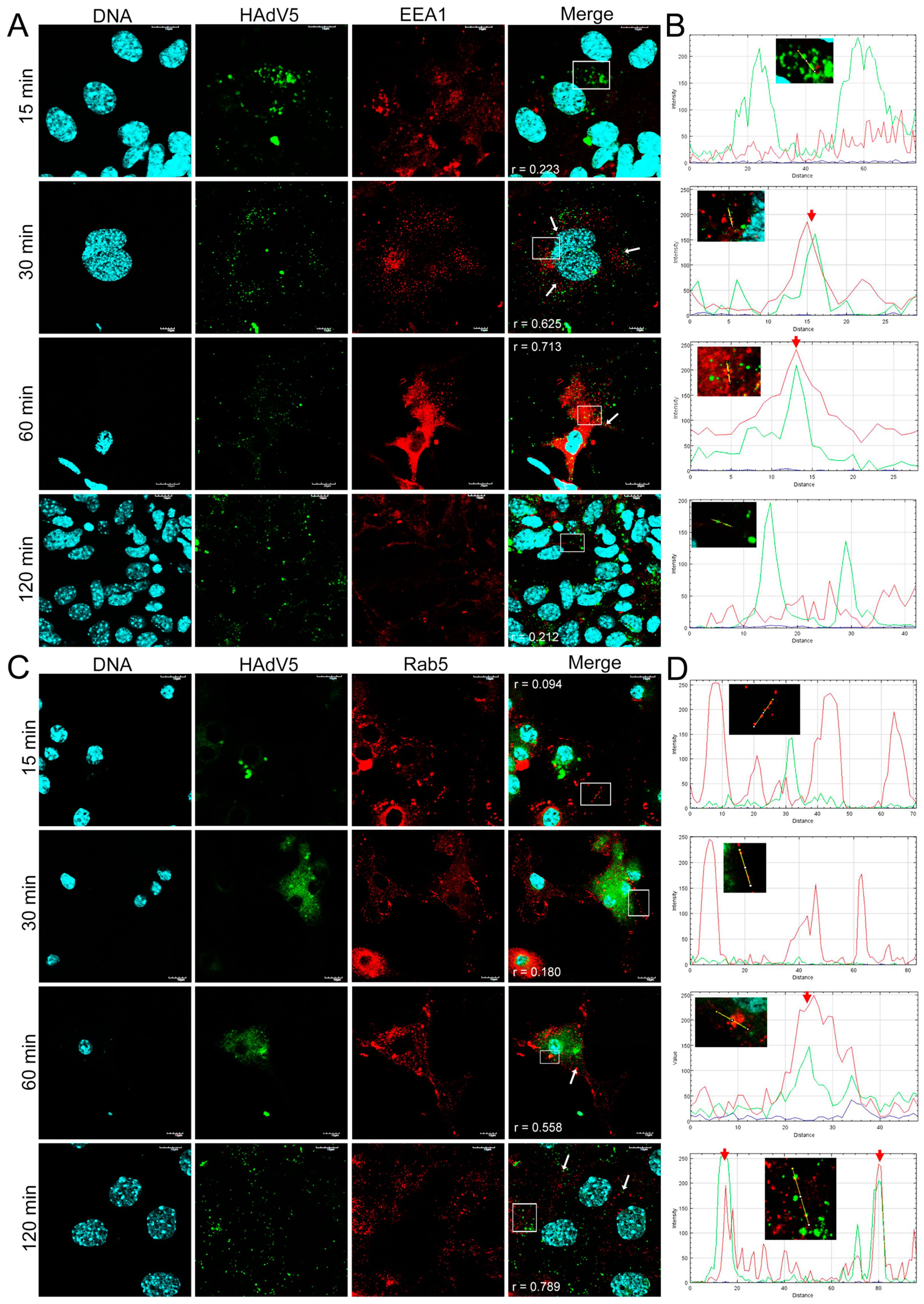 Pathogens 13 00158 g006