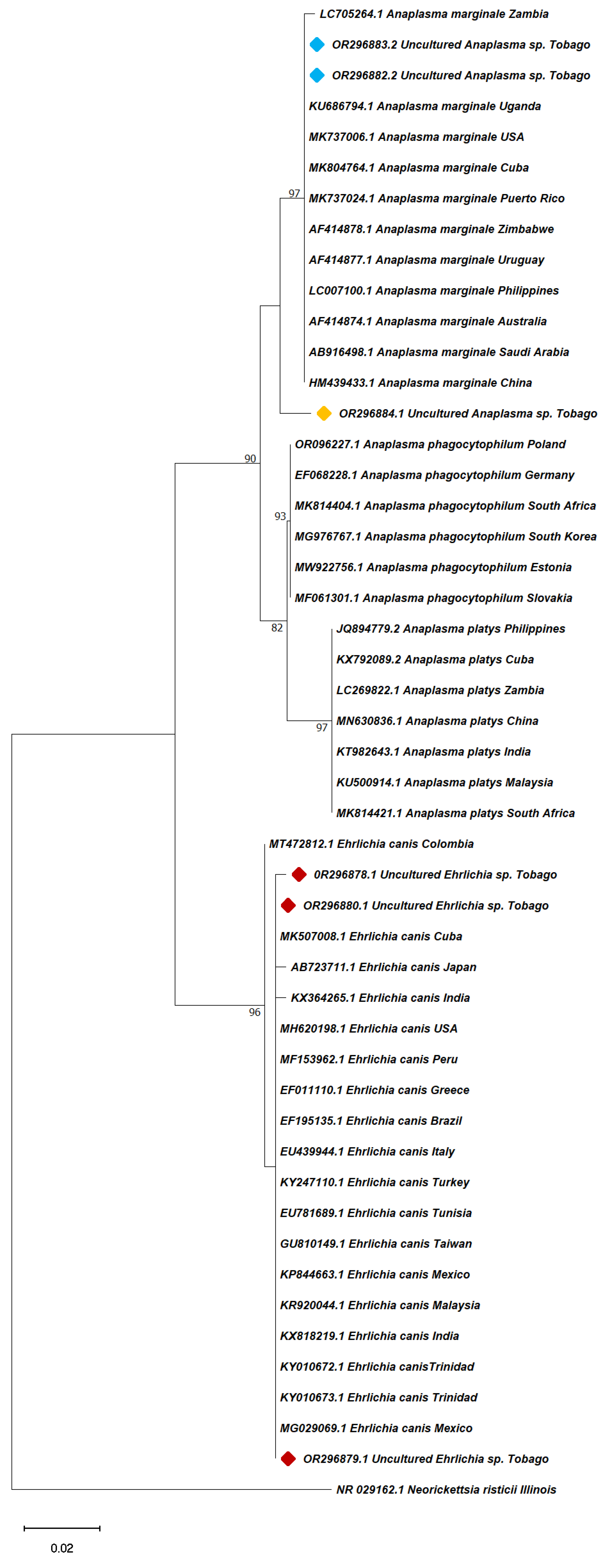 Pathogens 13 00161 g003