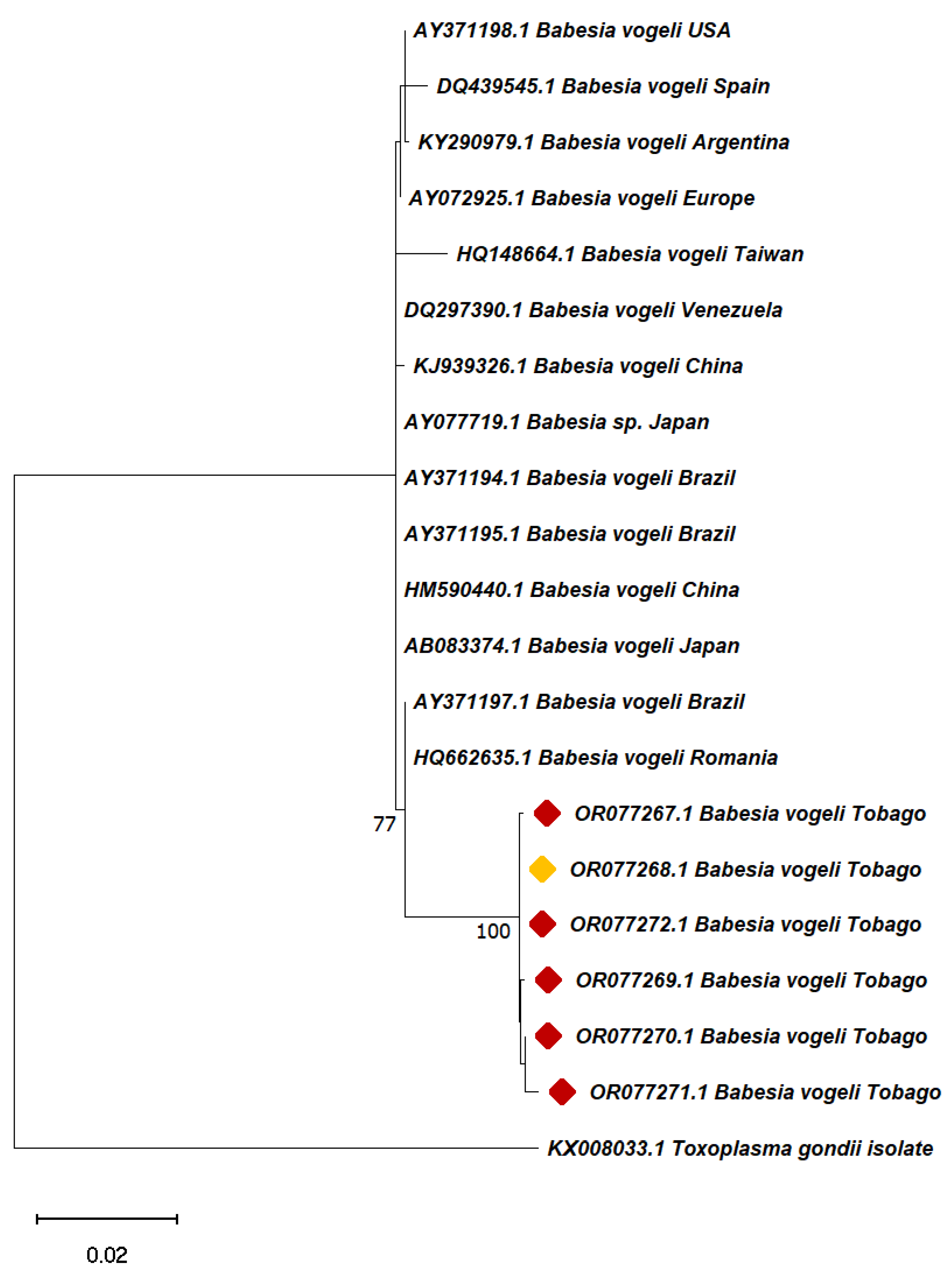 Pathogens 13 00161 g004