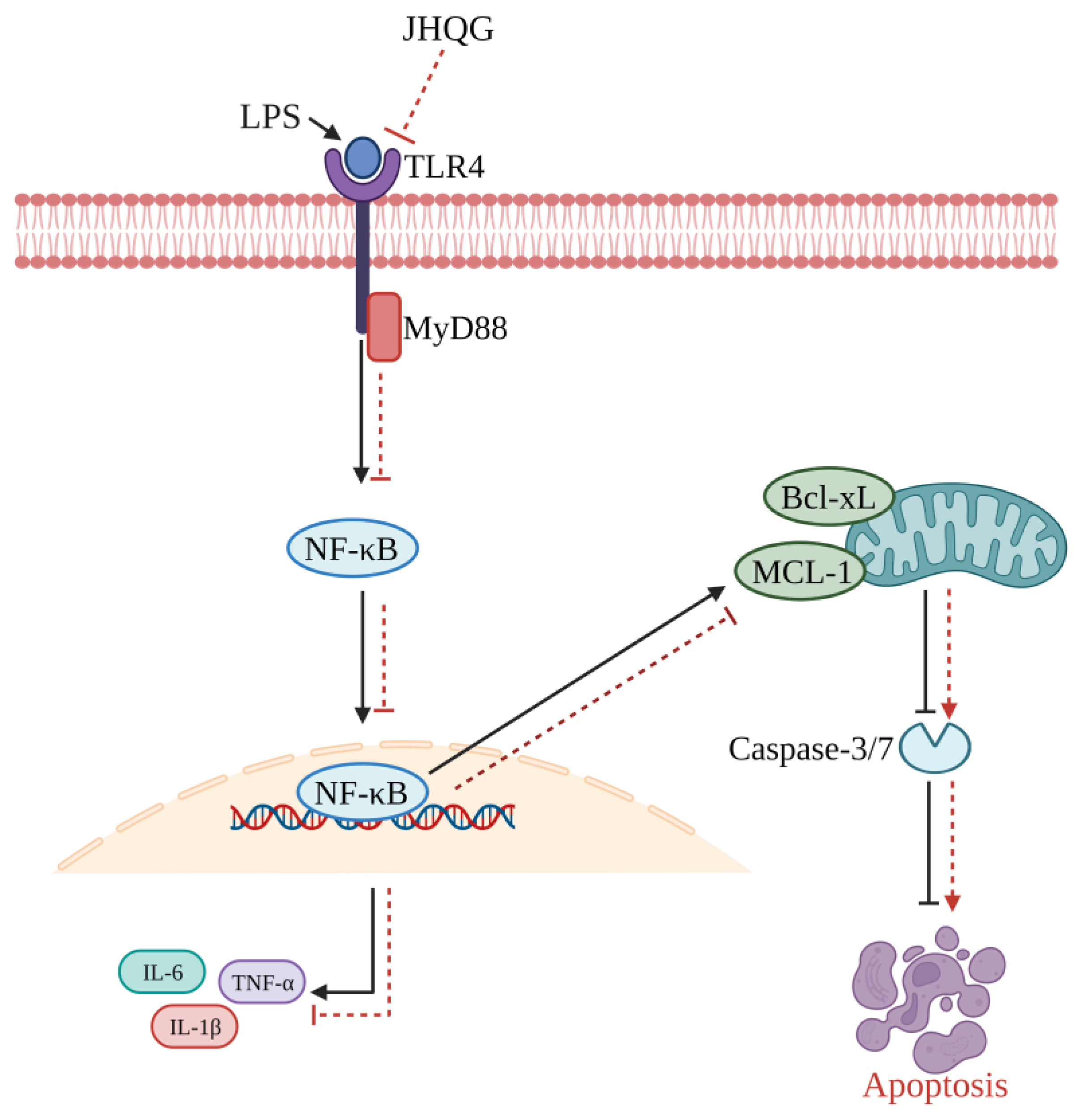 Pathogens 13 00164 g006