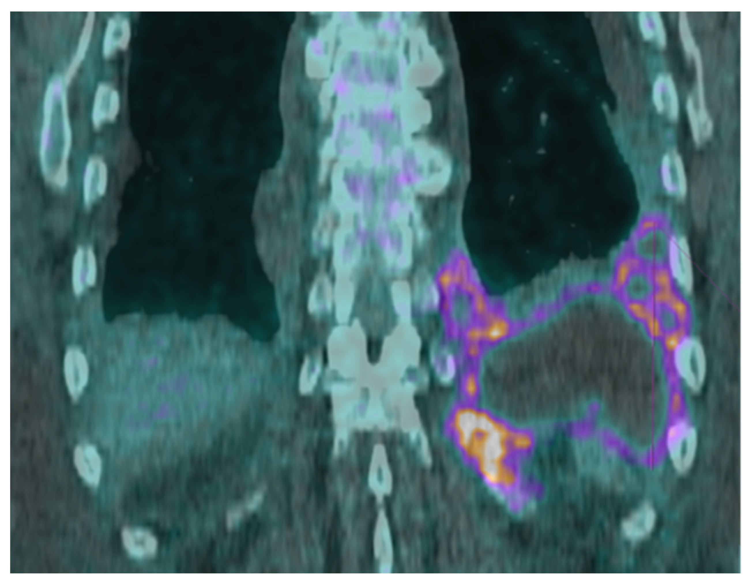 Pathogens 13 00165 g002