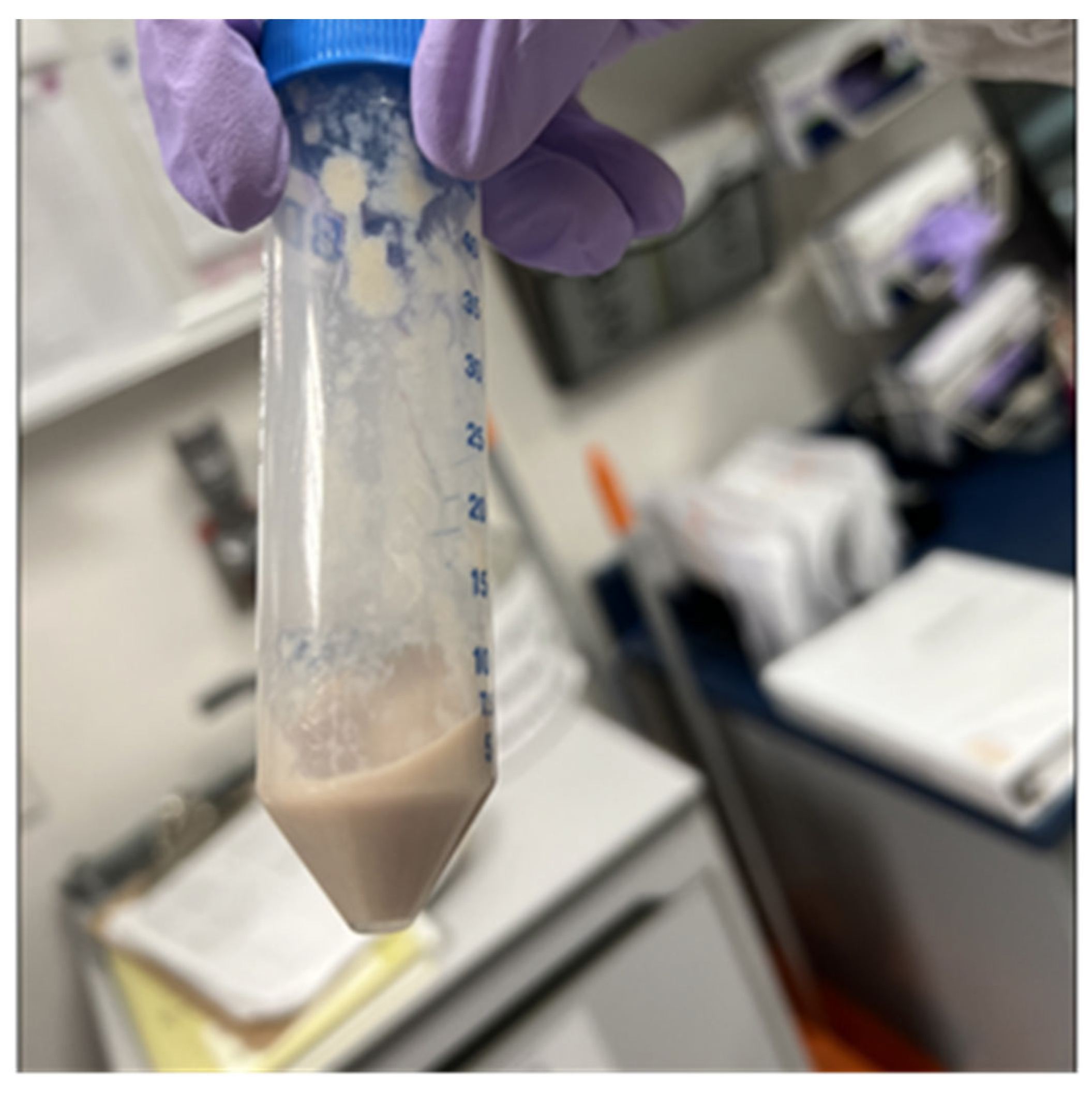 Pathogens 13 00165 g003