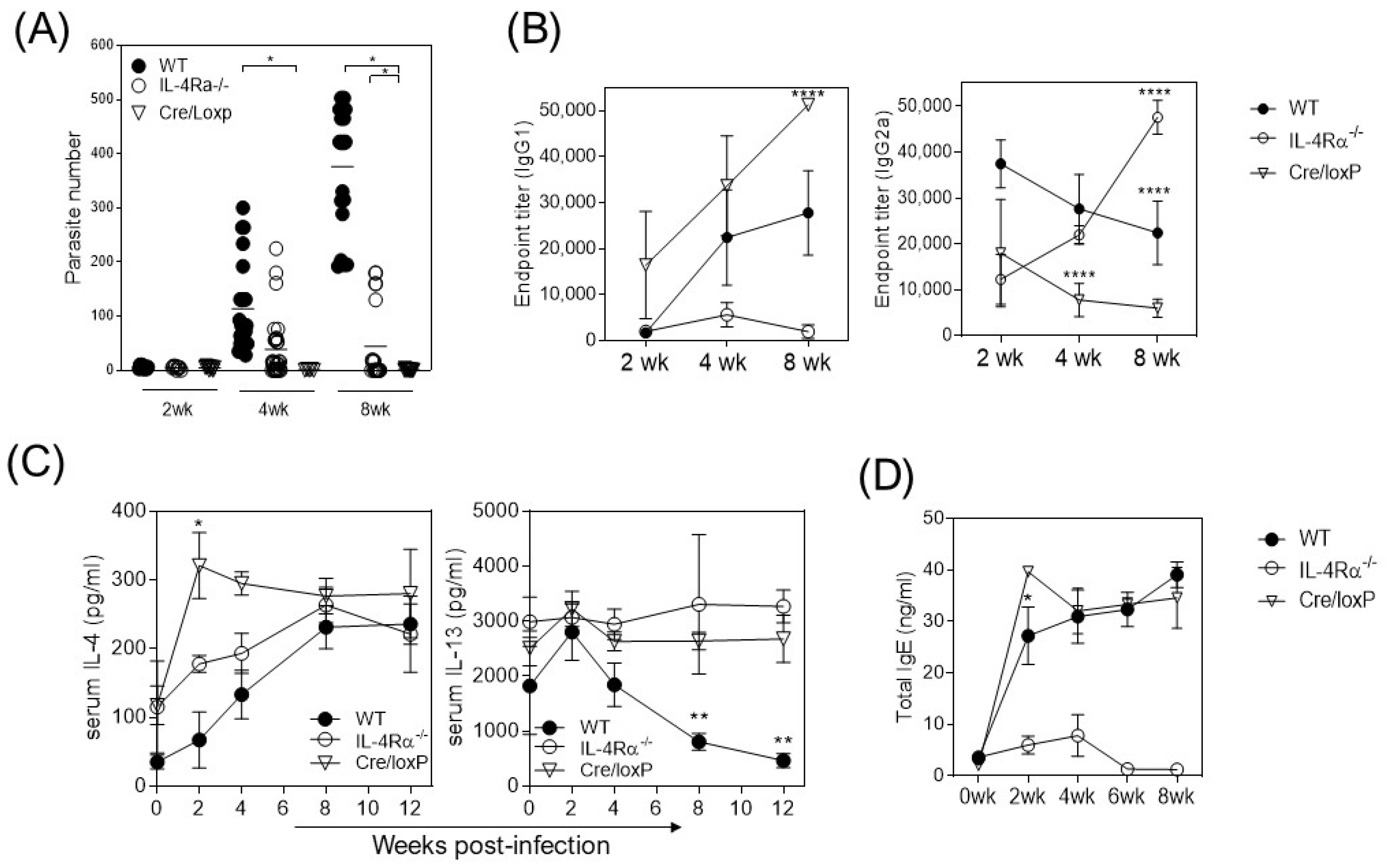 Pathogens 13 00169 g001 Pathogens 13 00169 g001