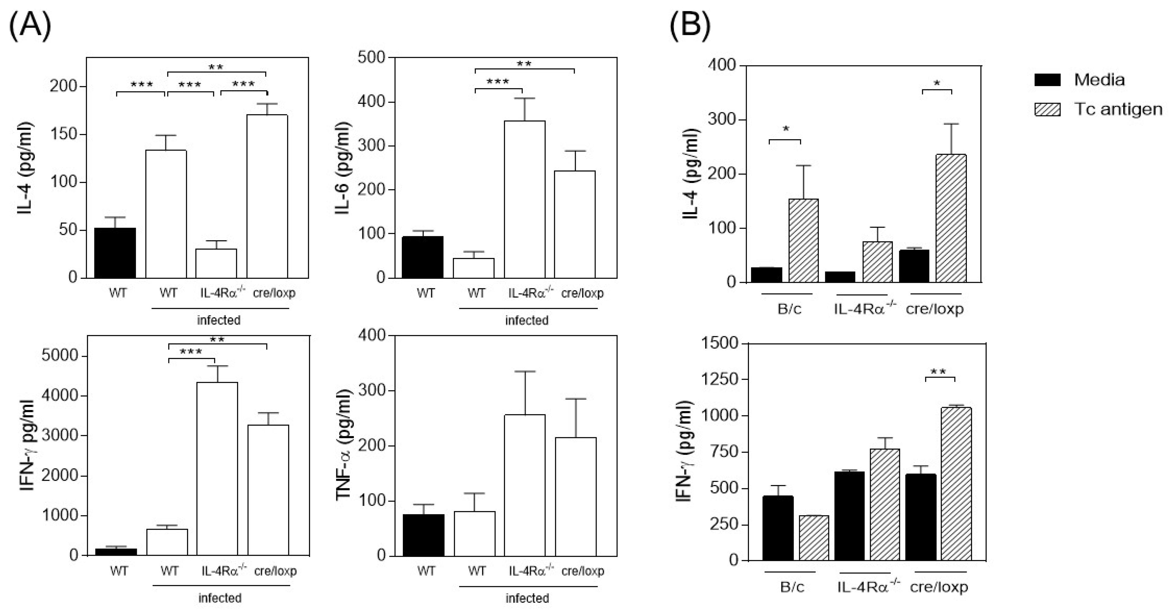 Pathogens 13 00169 g002 Pathogens 13 00169 g002