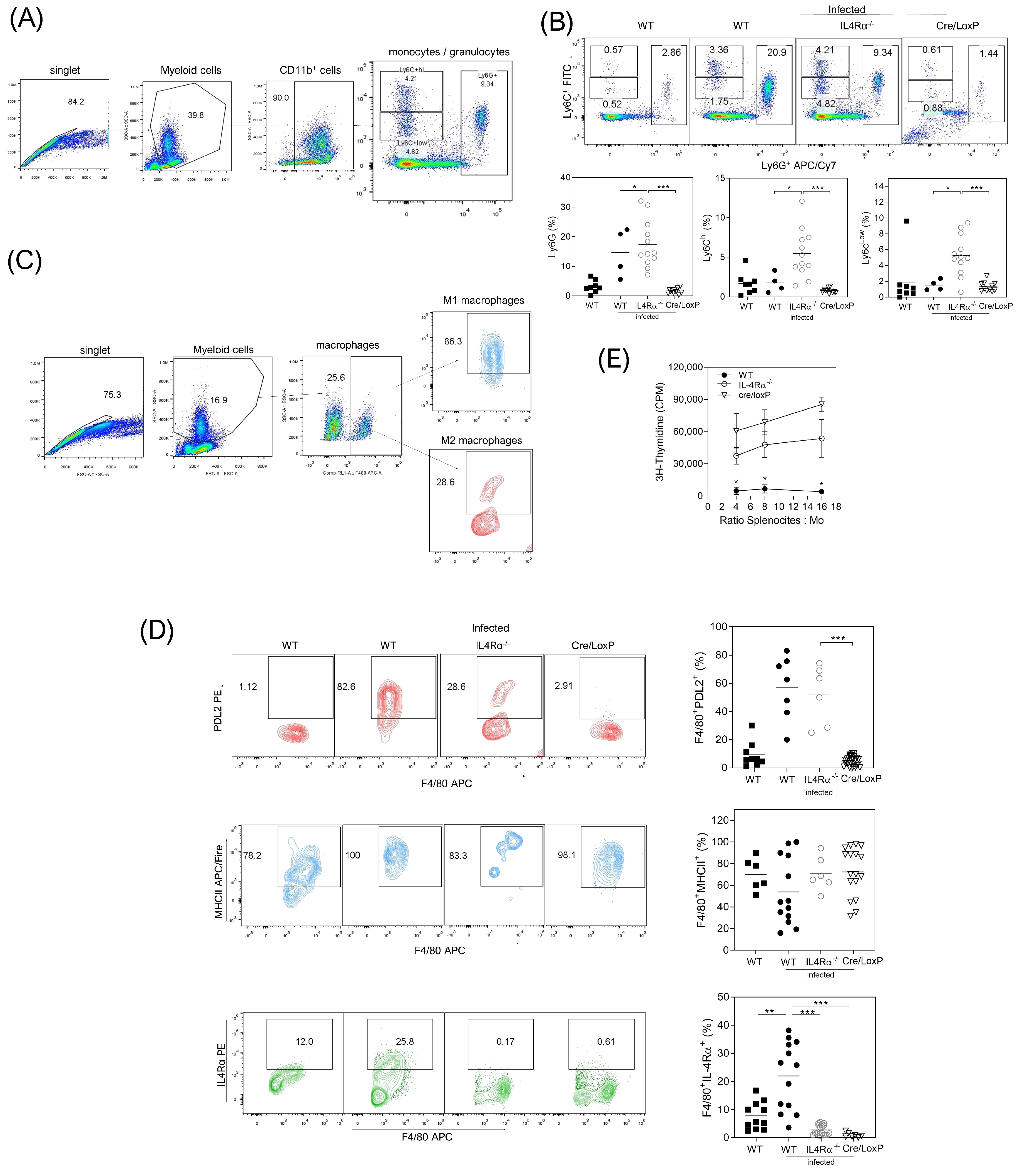 Pathogens 13 00169 g004 Pathogens 13 00169 g004
